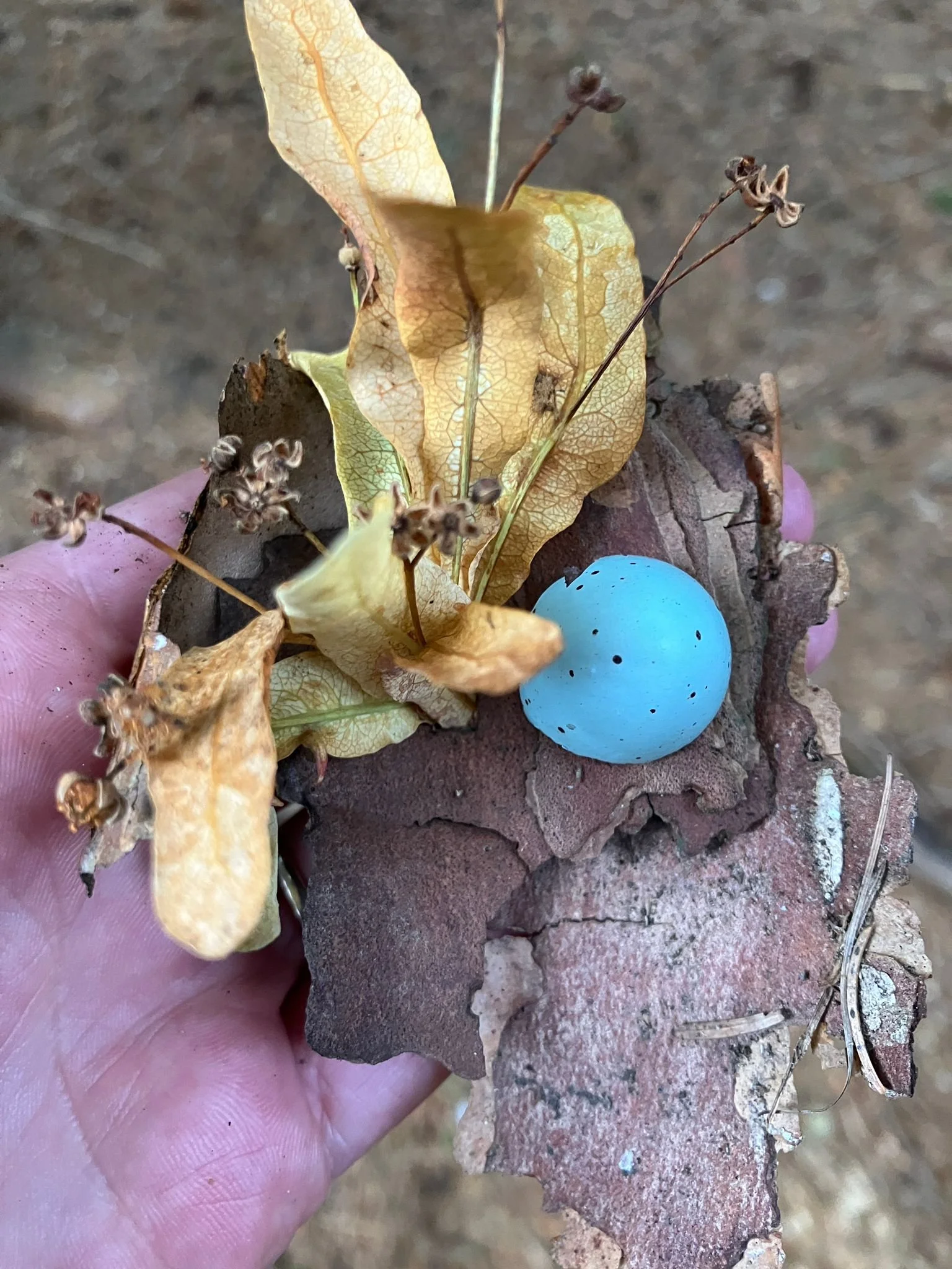 Seasonal nature resets- save the dates