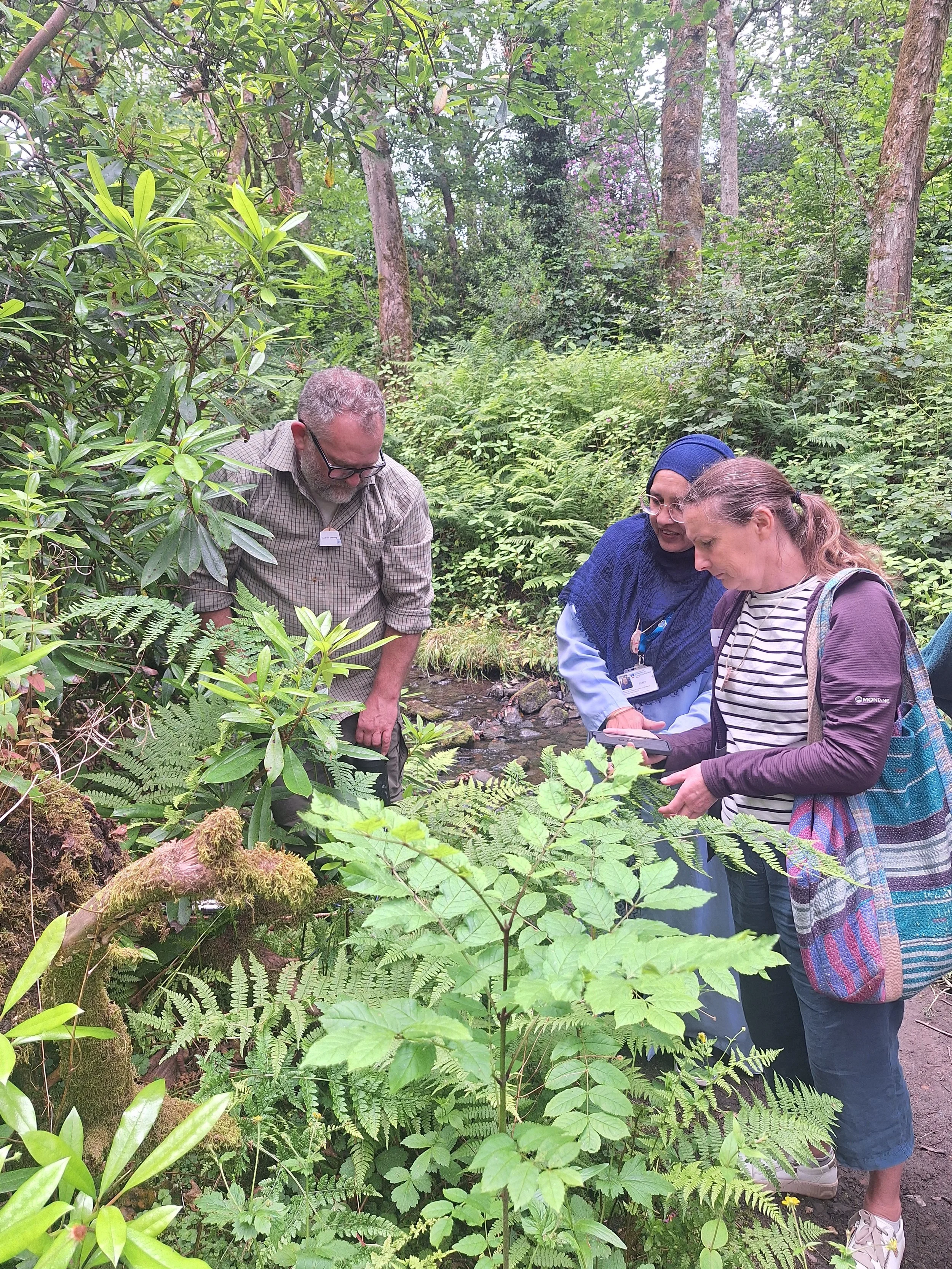Forest Bathing with Bloom Sheffield