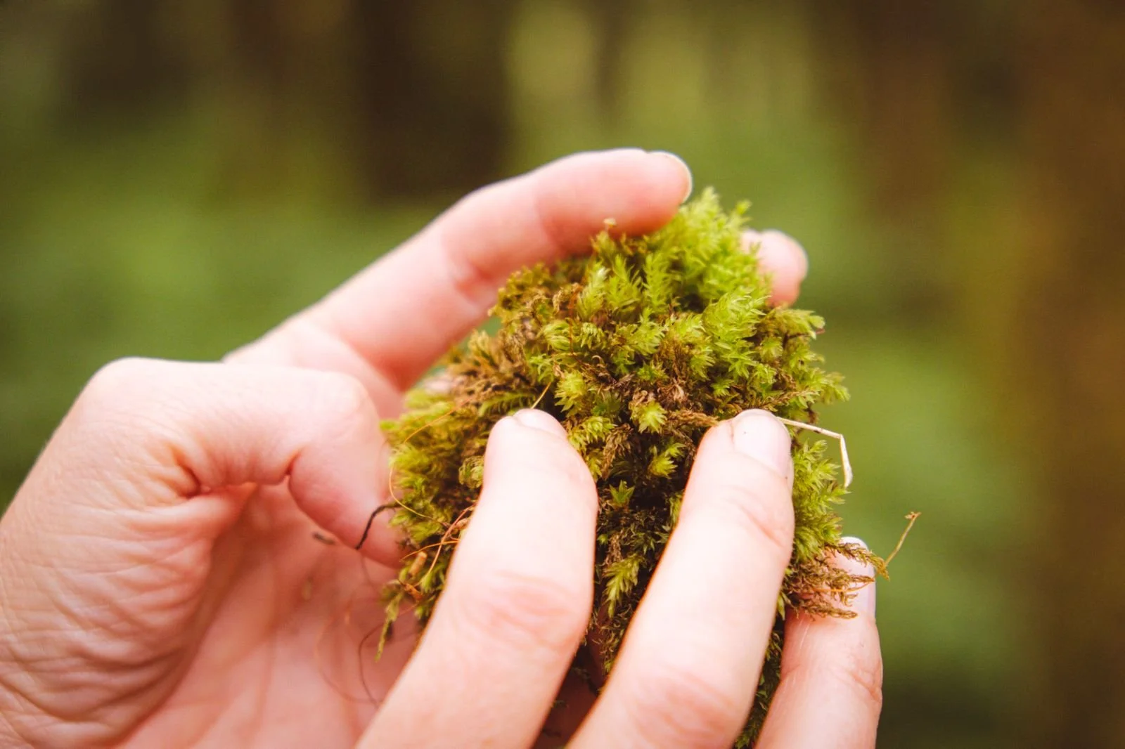 The Feel-Good Factor: Nature, wellbeing and environmental behaviour
