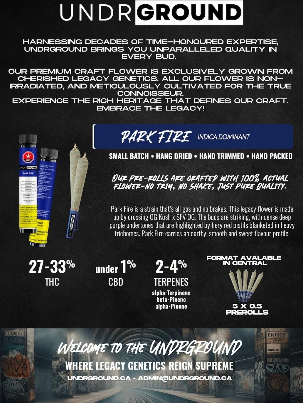 Screenshot 2025-02-03 at 1.31.40 PM.jpg