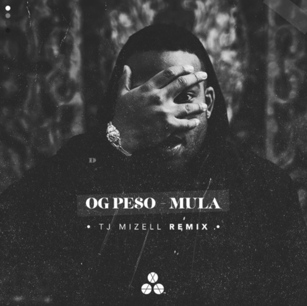 Screen Shot 2024-07-25 at 1.49.46 PM.png