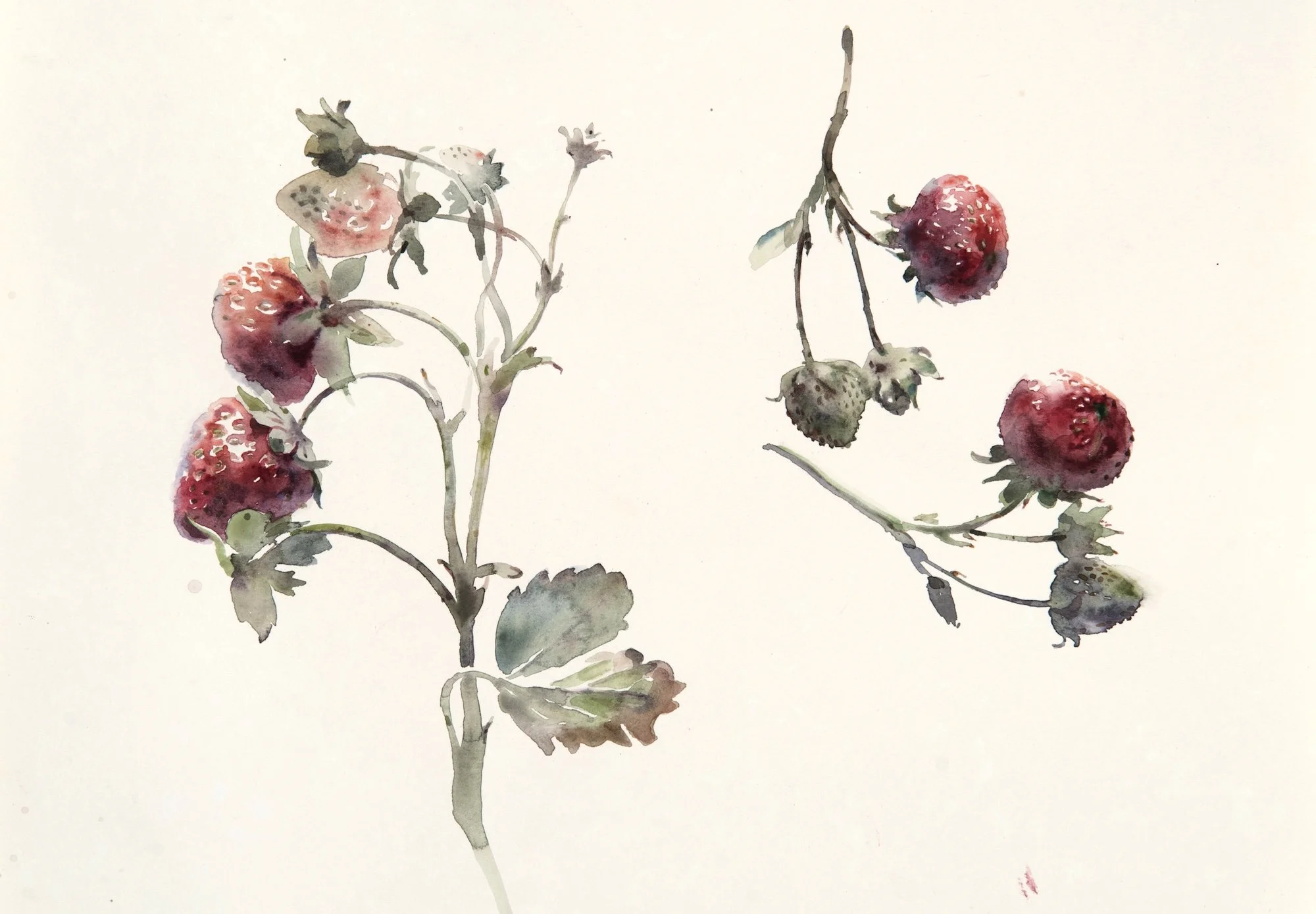 3-day watercolor intensive IN the church Sag HarboR, New York