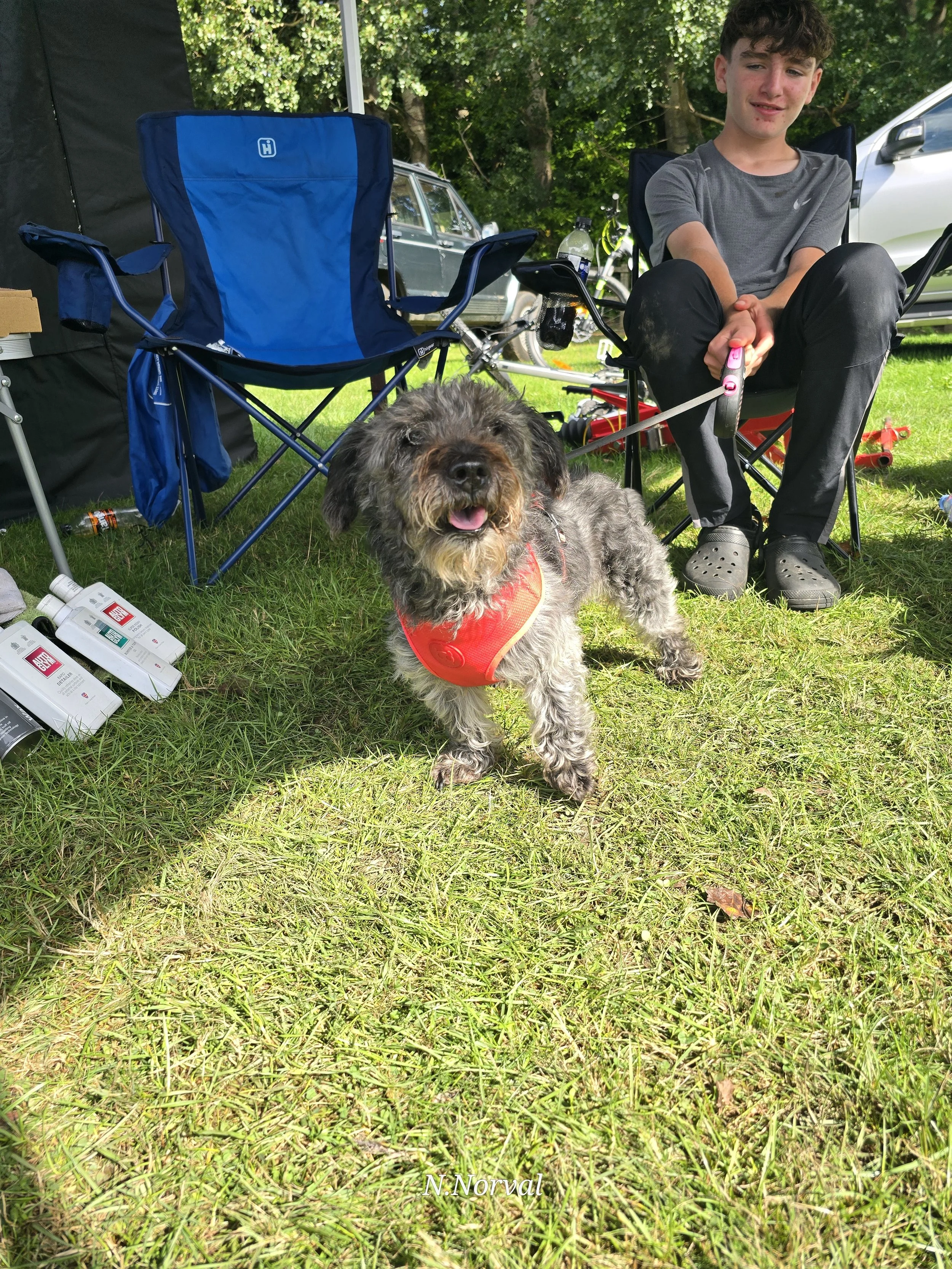 Doggo_s  - 06.jpg