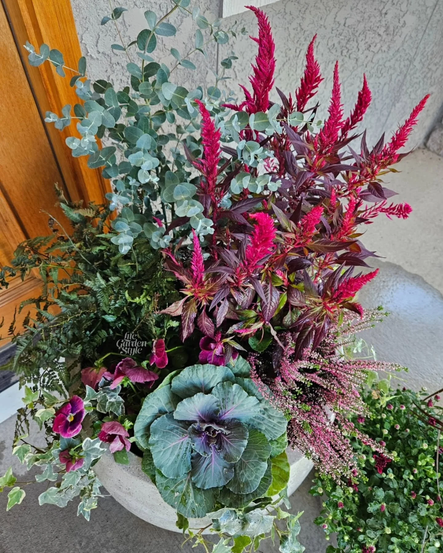 First day of fall planters 🍂

Tired summer flowers are being replaced with fresh fall selections for my clients. Swipe for a few recent installs from the past few weeks. More to come!

#seasonalflowers #pottedflowerdesign #fallplanters #fallplanteri