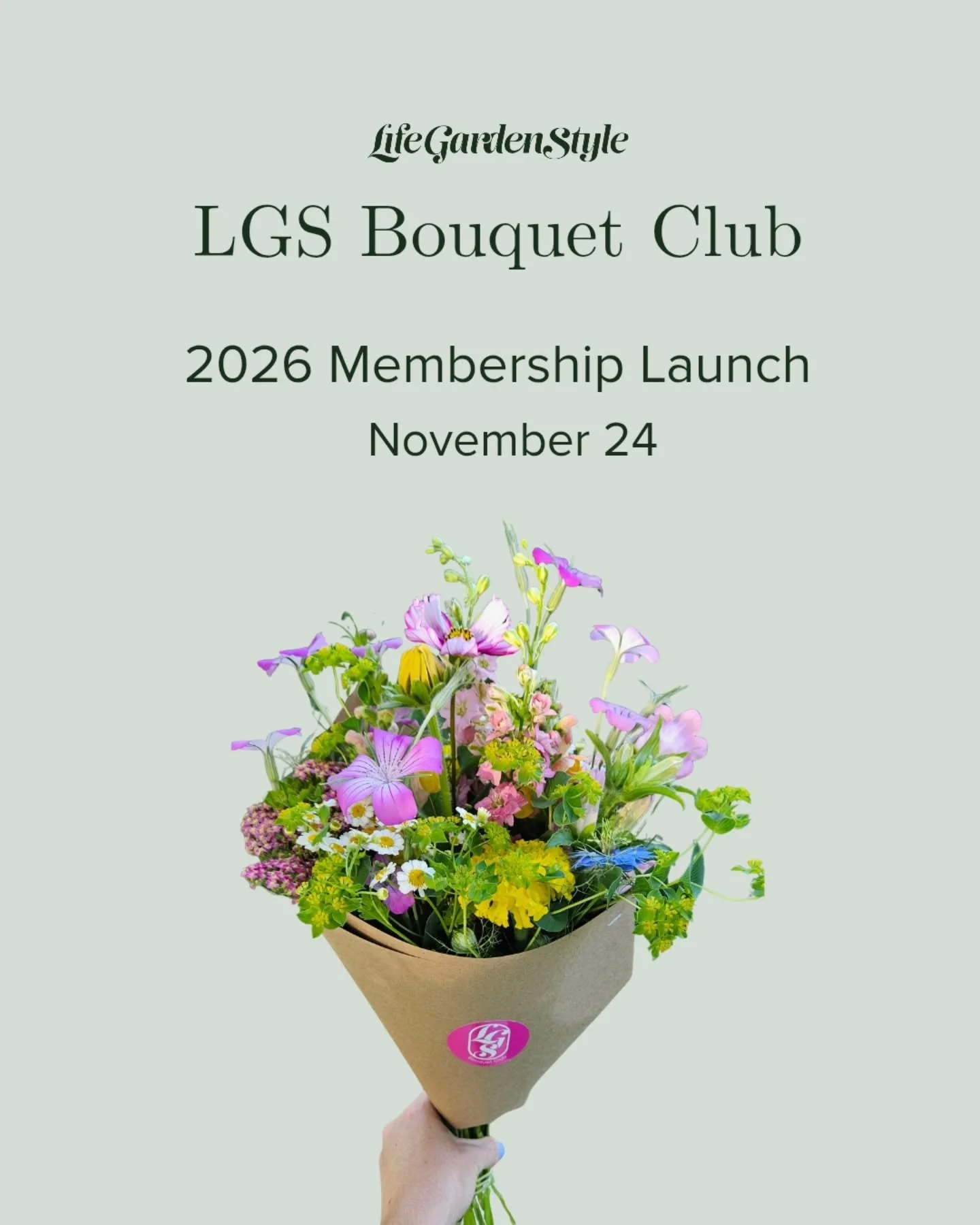 Bringing fresh flower subscriptions to spread joy in the Kansas City local market from spring to fall 💐

Save the date (just in time for the holidays 😉)

#lgsbouquetclub #kcflowerfarm #kansascityflorist #kclocal #parkvillemo #libertymo #localflower