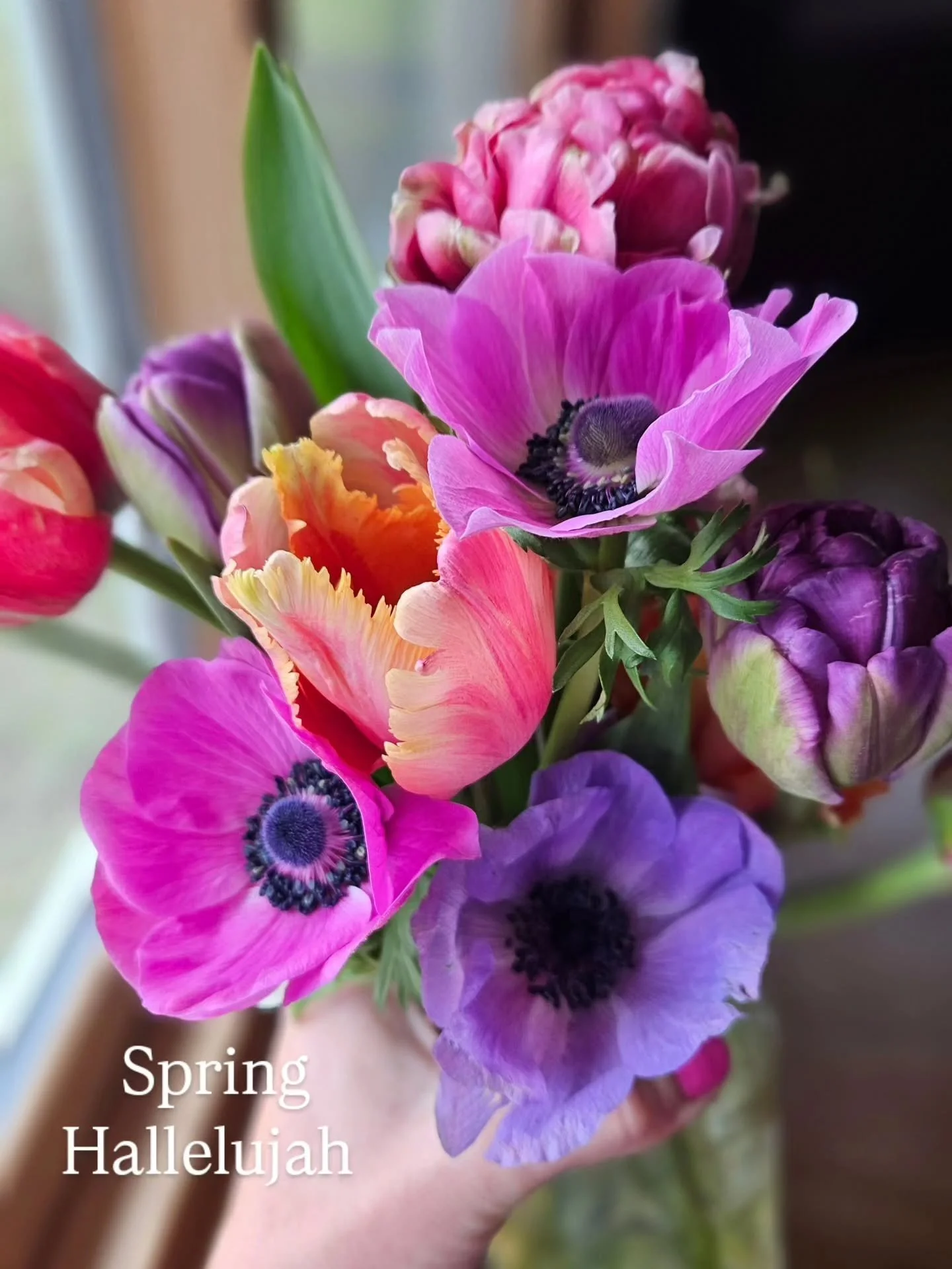 Every spring I'm amazed at the beautiful flora that comes to life. Each one so intricately detailed beyond imagination. It never gets old admiring His divine creation. The opportunity to work with this art? A dream come true. Hallelujah for spring fl