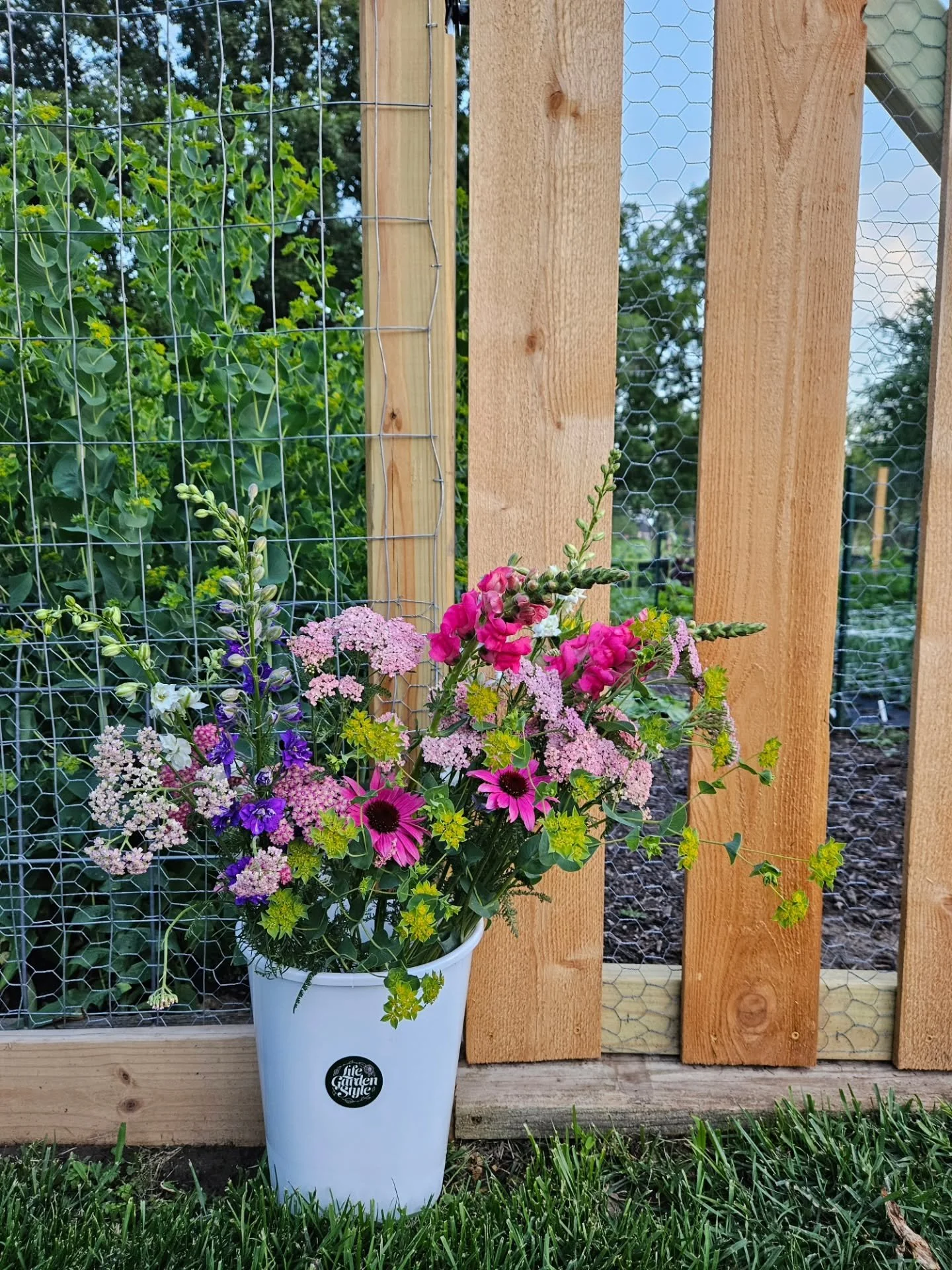 Just like that, sweet summer flower harvests are back🌸 Blooms are arriving on time as summer bouquet club kicks off this month!

Swipe to see some of what's growing and blooming now on the LGS Flower Farm ⬅️ 

See that last slide for the not so grea