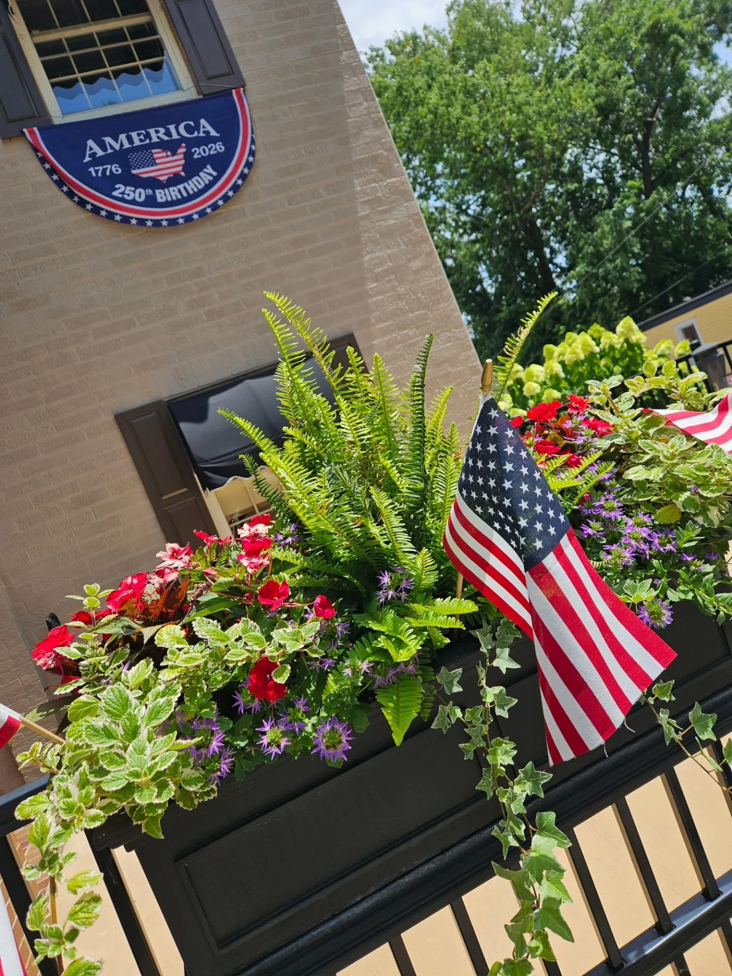 Happy 250th Birthday, America 🇺🇸 ❤️ 🤍💙🧨

Thanks to my clients for their amazing displays of patriotism.

#summerplanters #summerflowers #redwhiteblueflowers