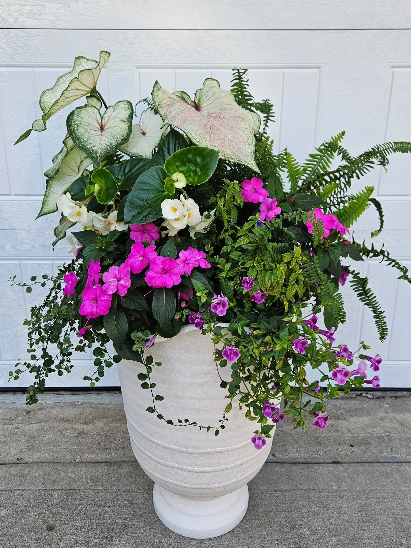 Potted summer flowers at my house finally hitting their stride 🌸

Which container design is your favorite?

#summerplanters #containergardendesign #seasonalflowerpots