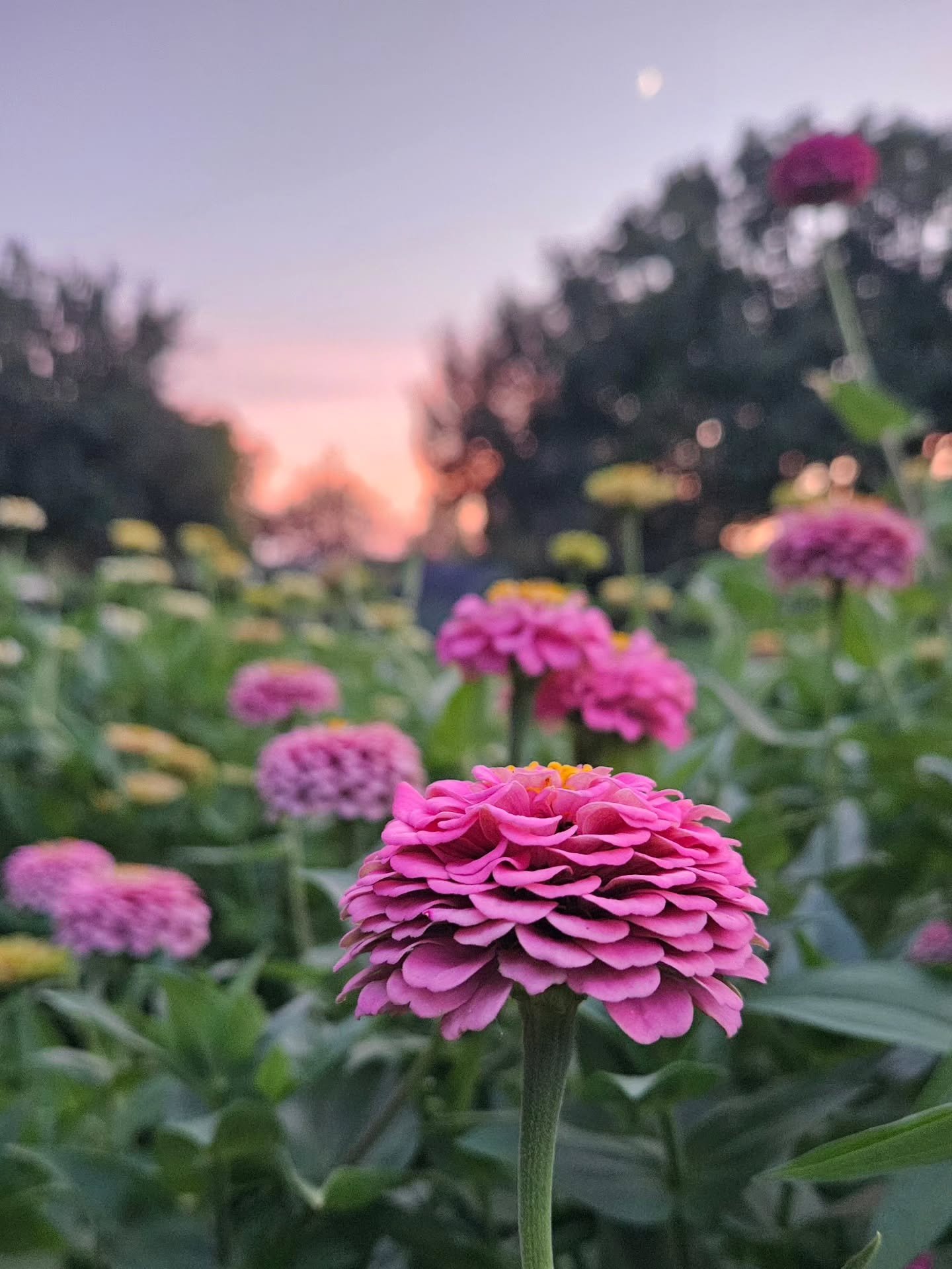 Seems like a good day to slow down, notice and take in all the details. Enjoy a look at God's coloring book from my perspective 💚