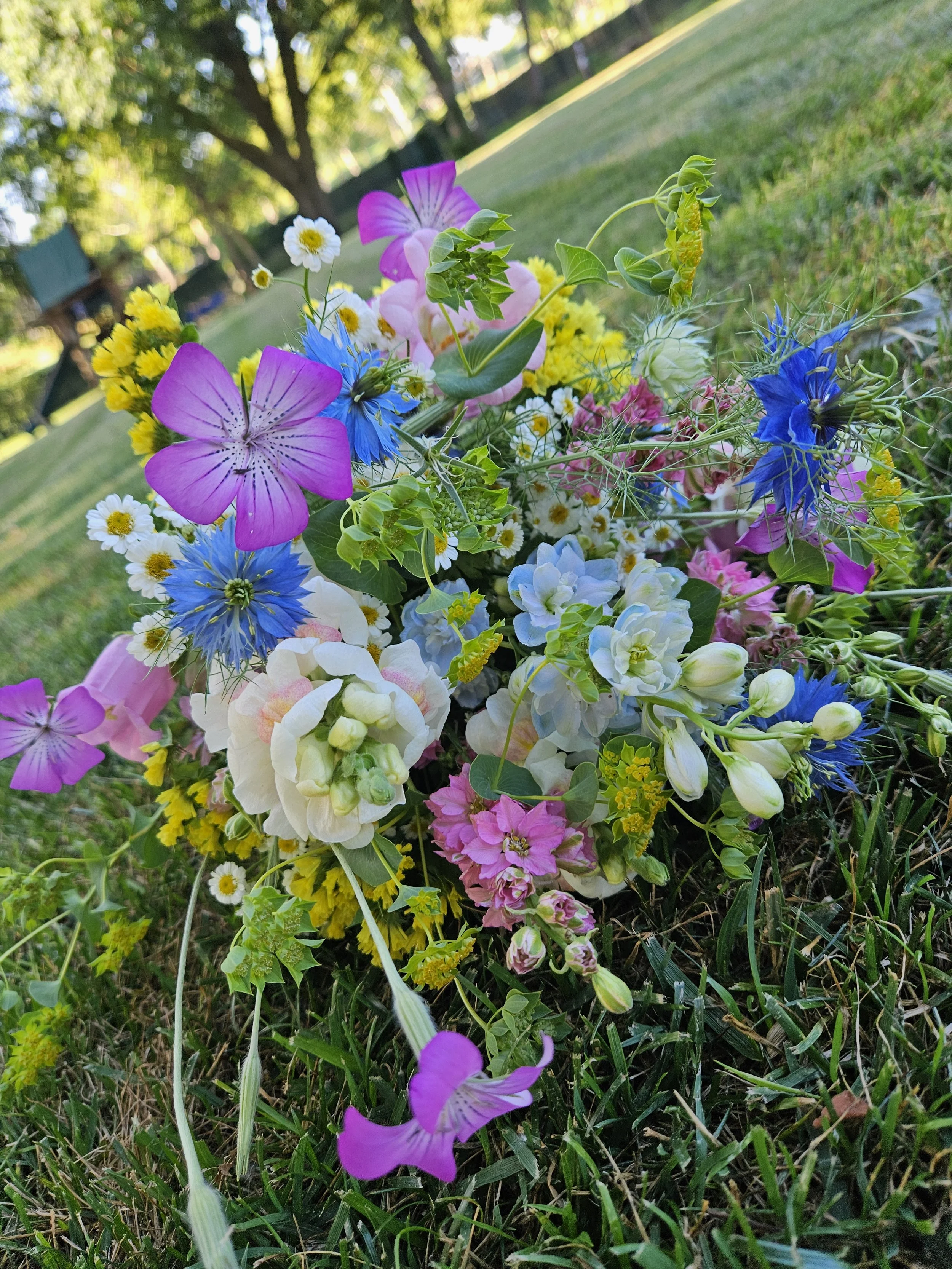 20250626_082250.jpg