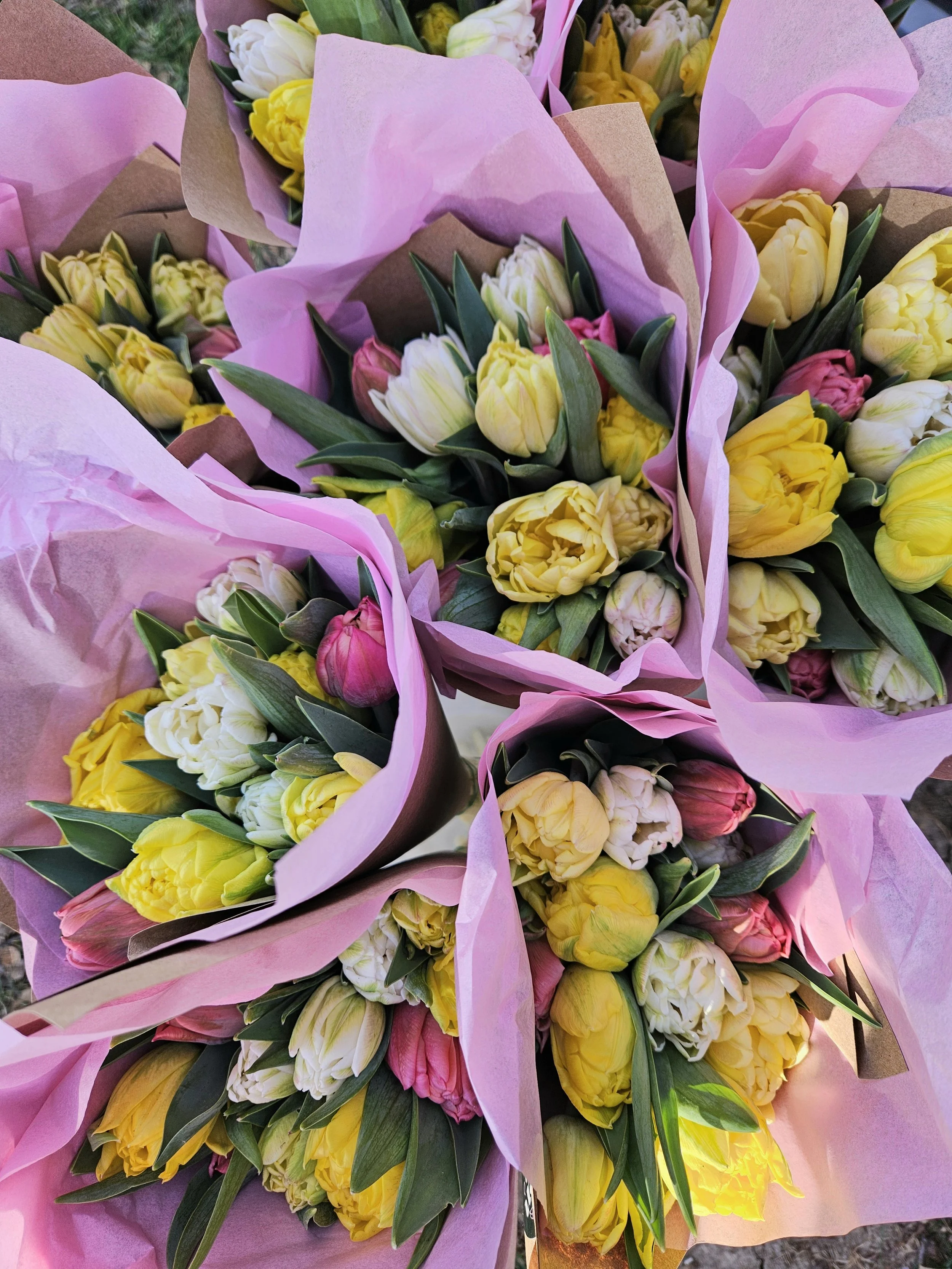 tulipskansascityeasterlifegardenstyle