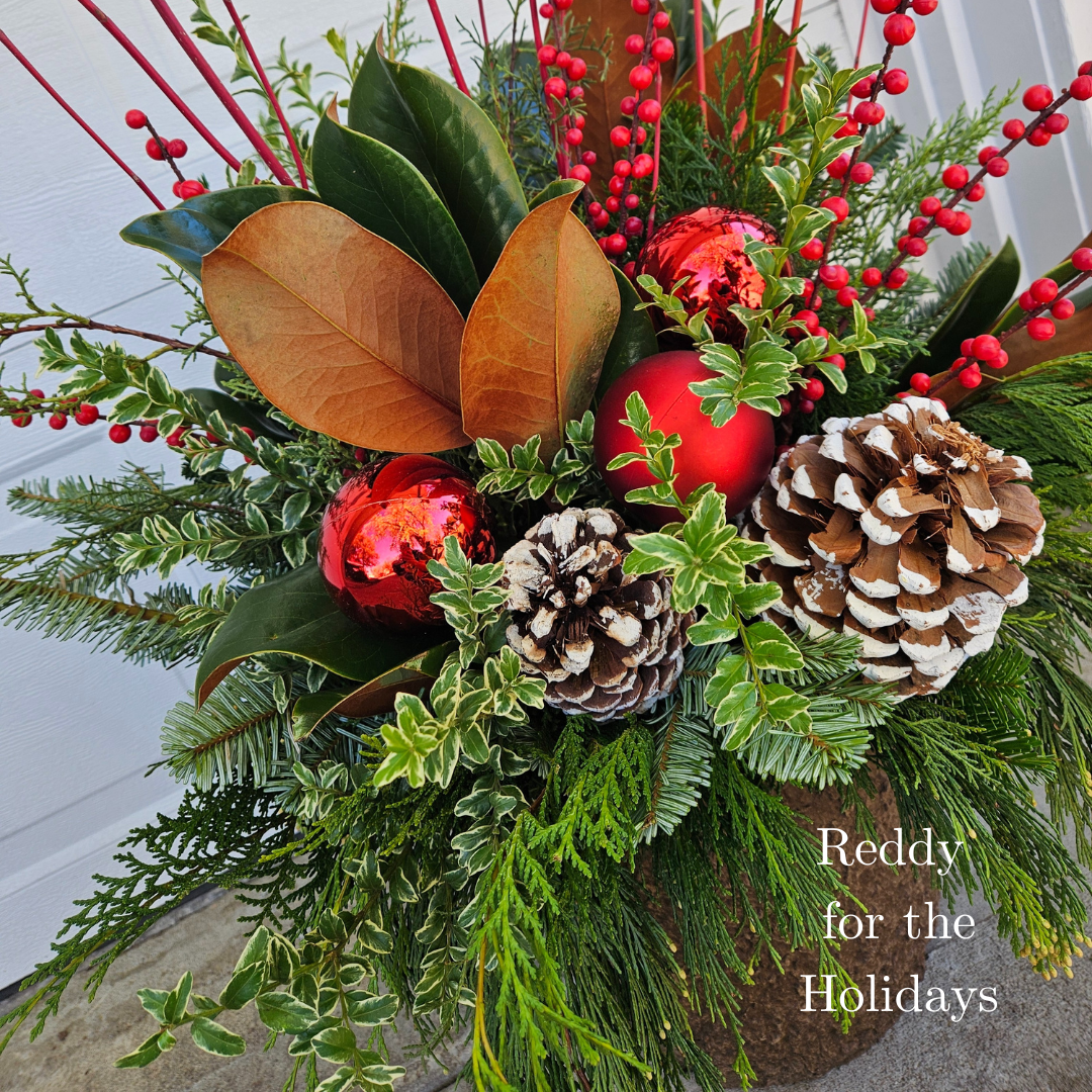 Reddy for the Holidays 1.png