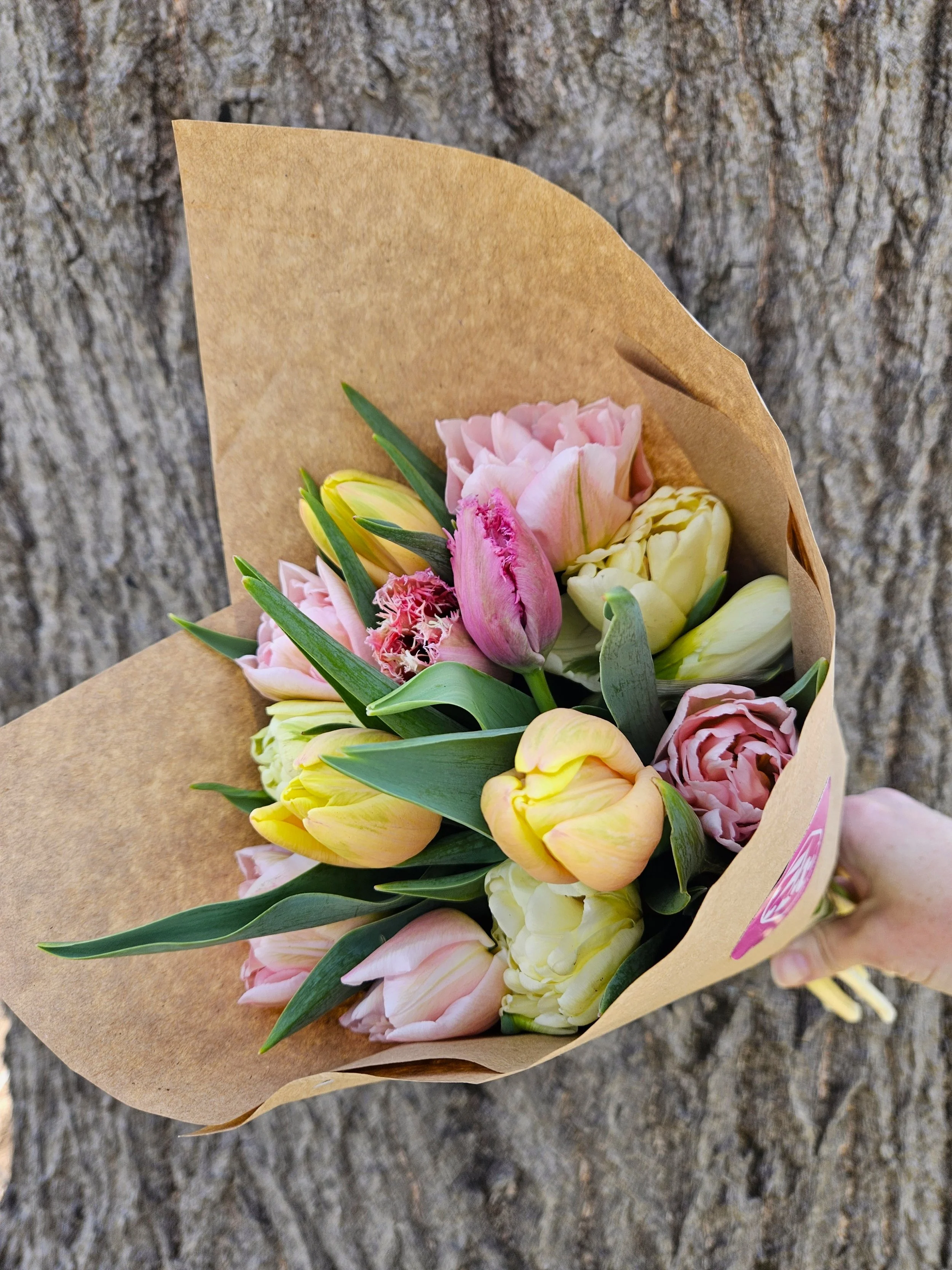 Life Garden Style Fresh Tulip Bouquet Kasnasd City