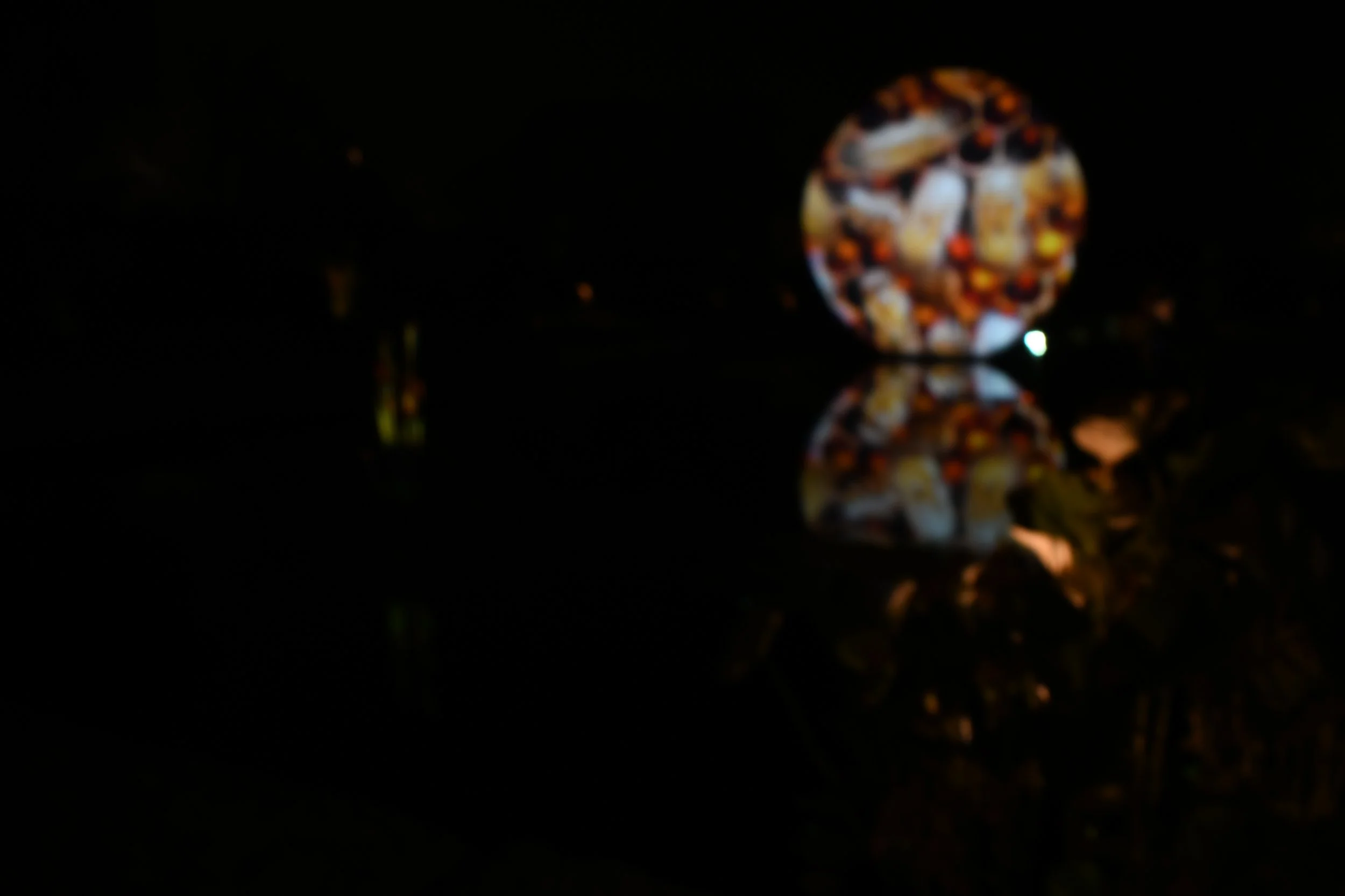 GLEAM puts art in a new light at Olbrich Gardens