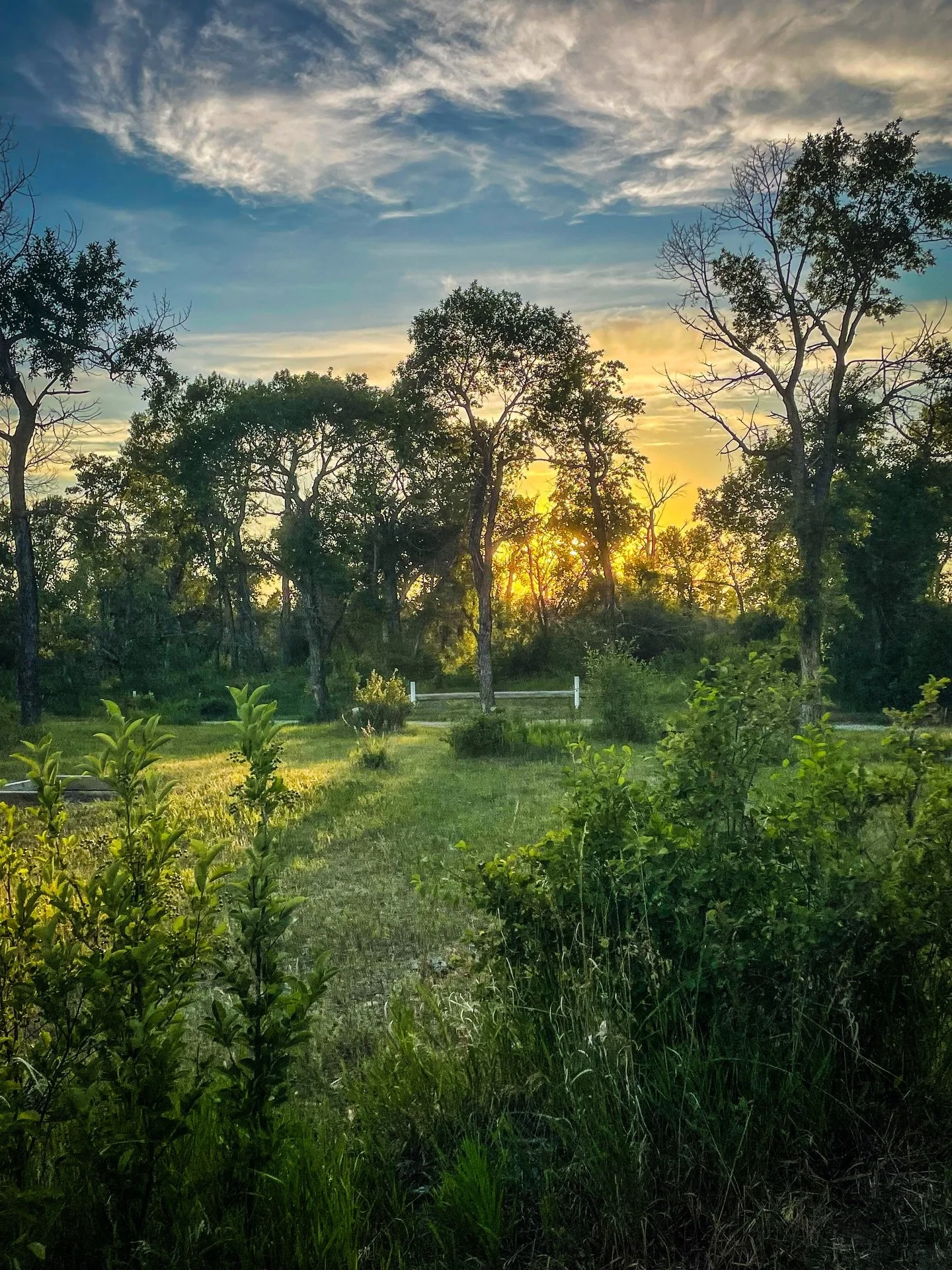 In the midst of this winter wonderland, we are patiently awaiting our 18th year gathering, returning to this incredible land, to reconnect, dream weave and play ☀️ Four more months friends! #souluna #dance #ecstaticdance #ecstaticdancefestival #evolv