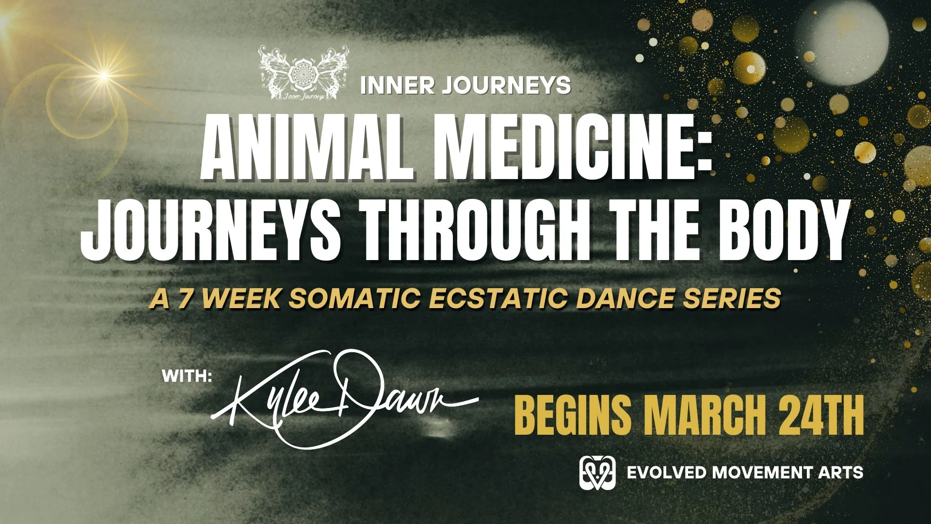 Inner Journeys’ | Animal Medicine: Journeys Through the Body Series with Kylee Dawn