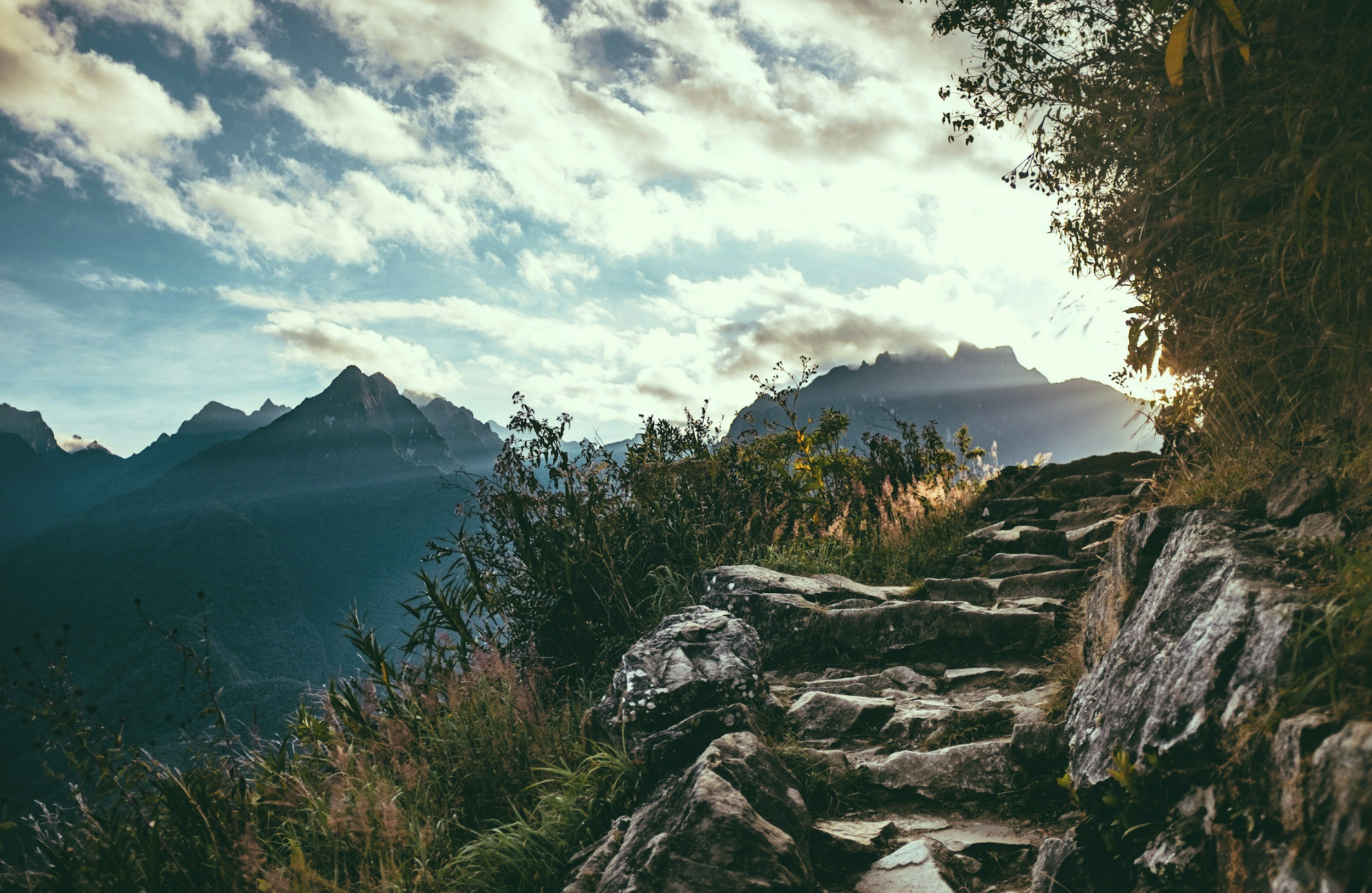 Residency Program.png