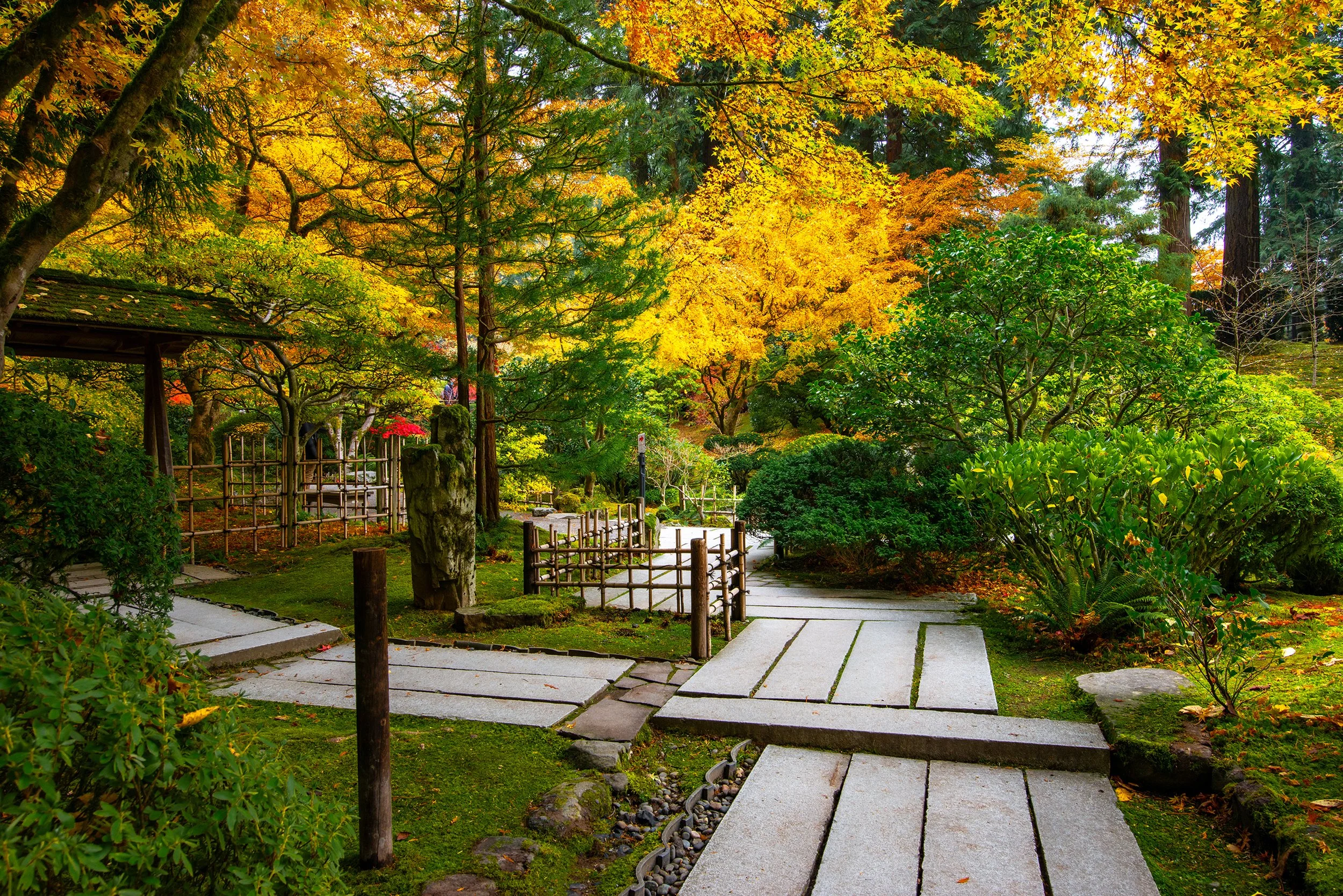 Japanes gardens-5373.jpg