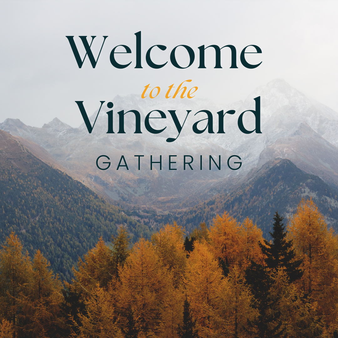 Welcome to the Vineyard Gathering
