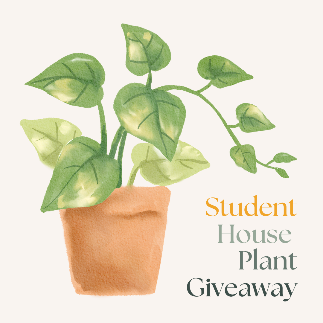 Student House Plant Giveaway