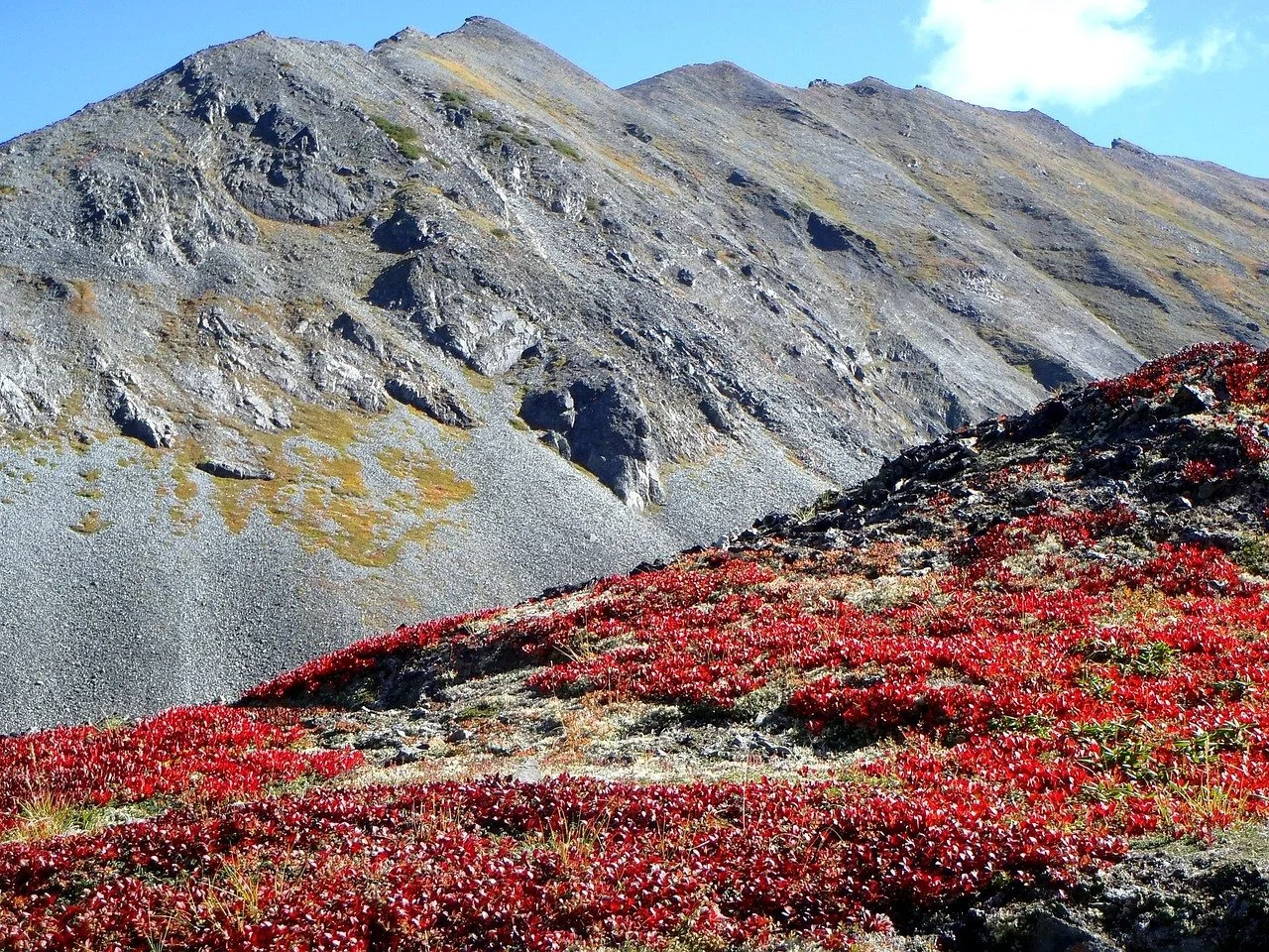 do på snaufjellet.jpg