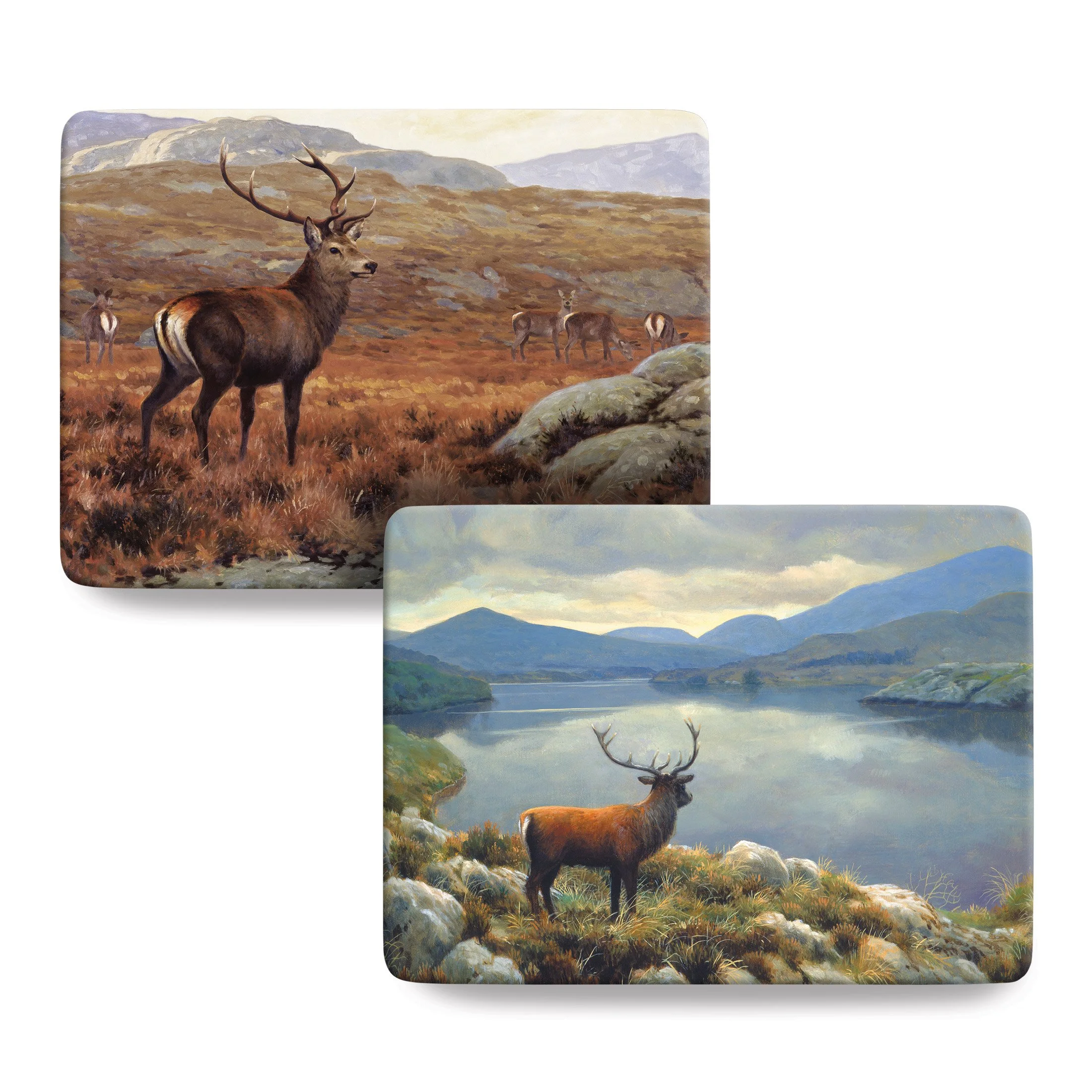 JF-TMA_Stag-Collection copy.jpg