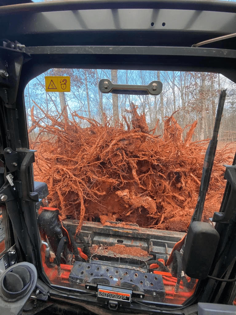 Stump_Removal.png