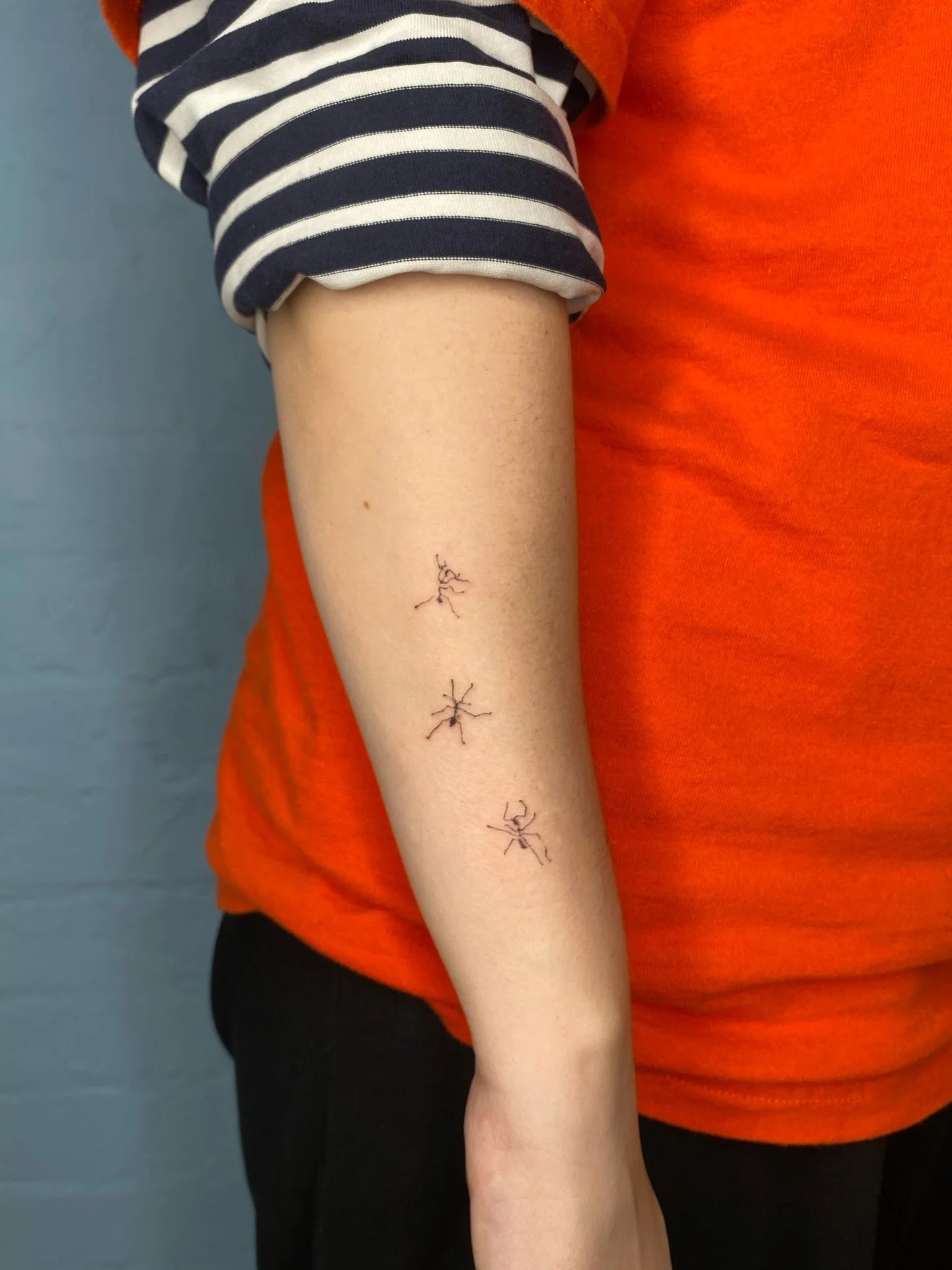 Seems like there was a bit of a theme this year at the Halloween flash day 🐜🥀, thank you everyone who came!!! ❤️ #tattoo #londontattoo #manchestertattoo #halloweenflashday #flashday