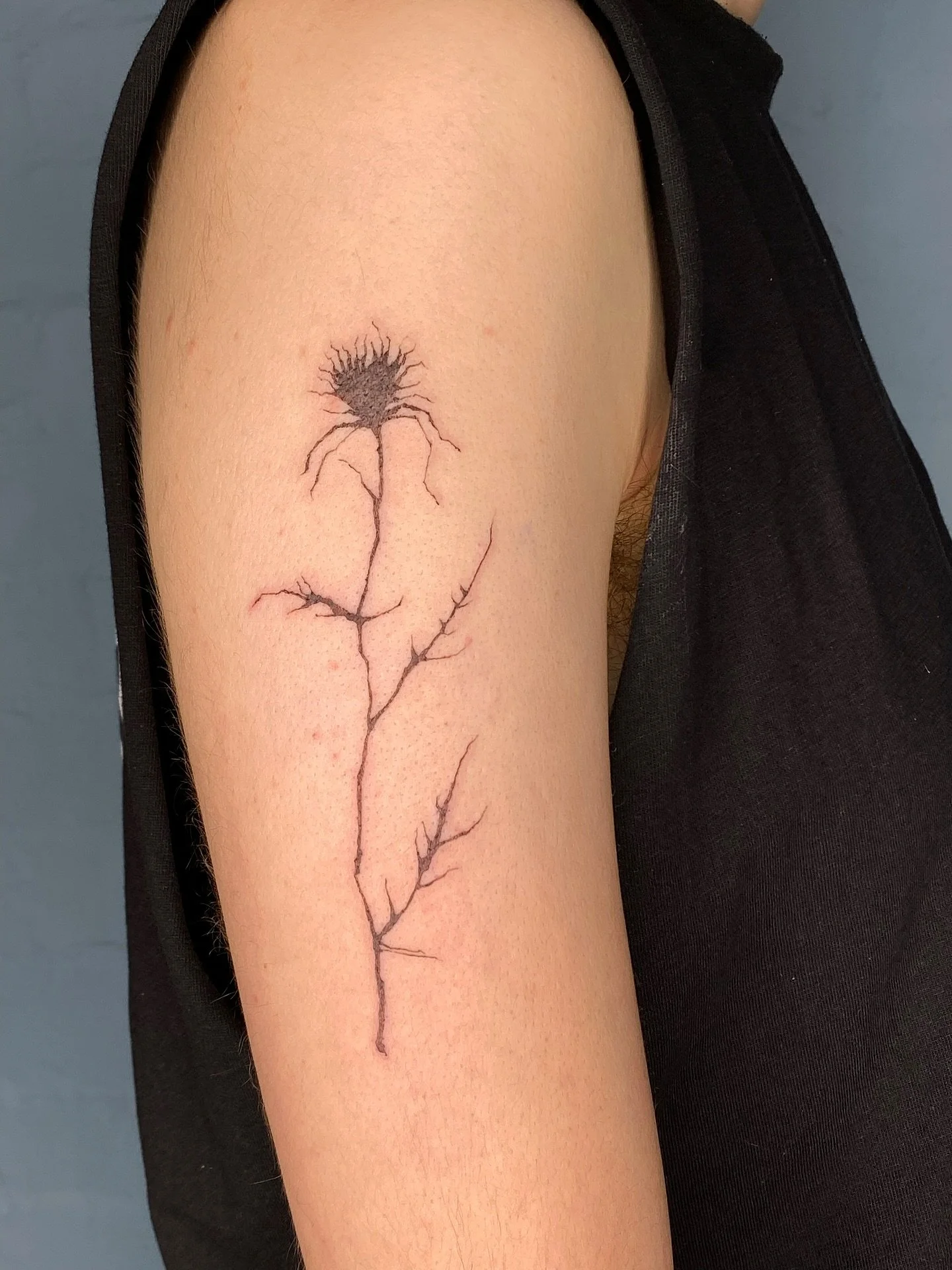 Thistle flash piece from today!