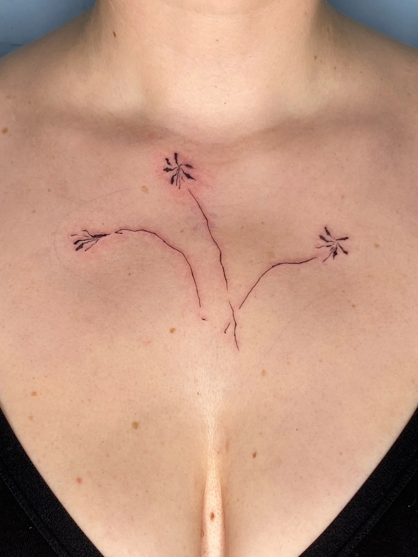 The placement of this one is perfect! Thank you so much Chloe