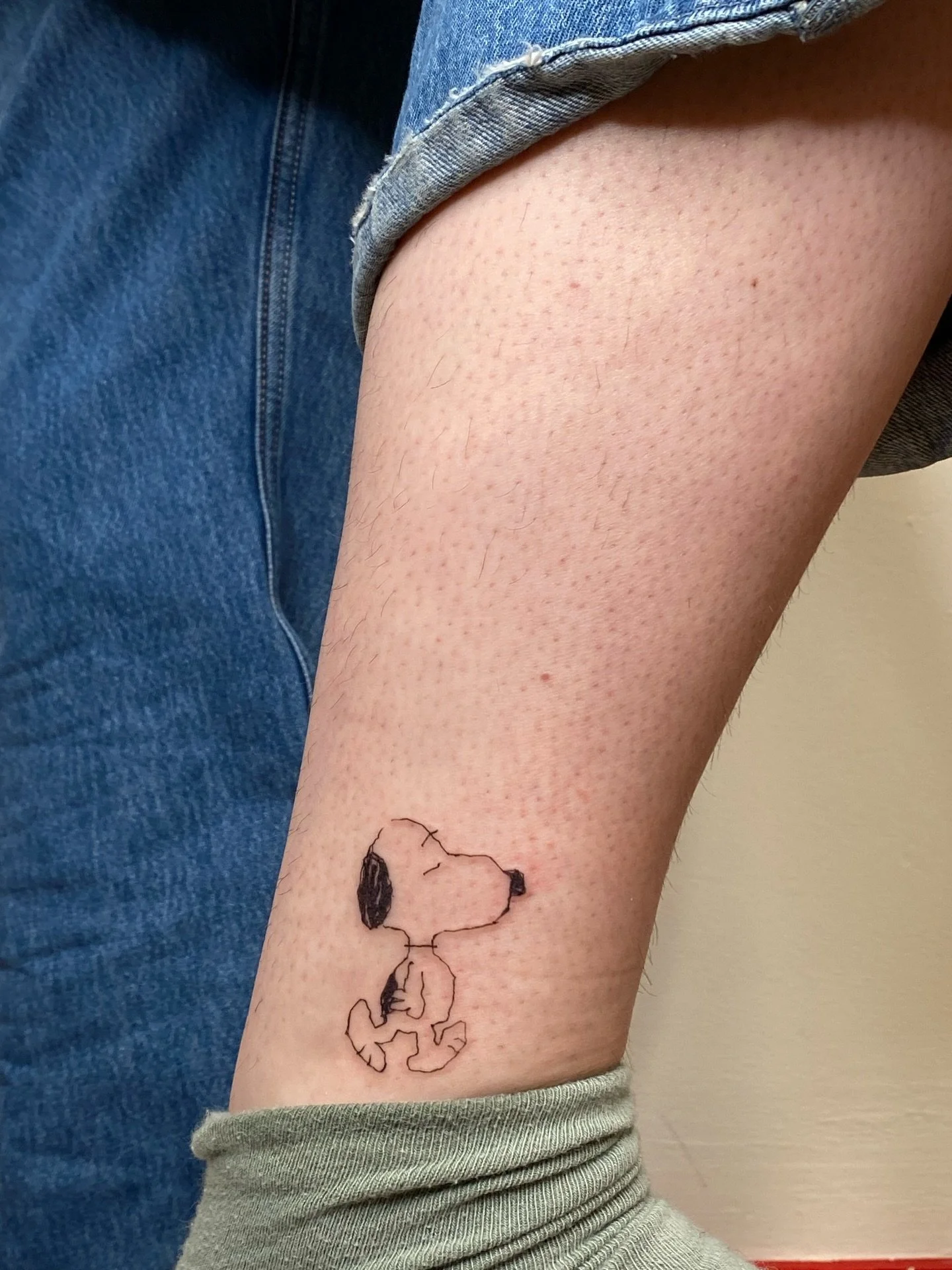 The first snoopy! I love him so much, reminder that these are repeatable ❤️