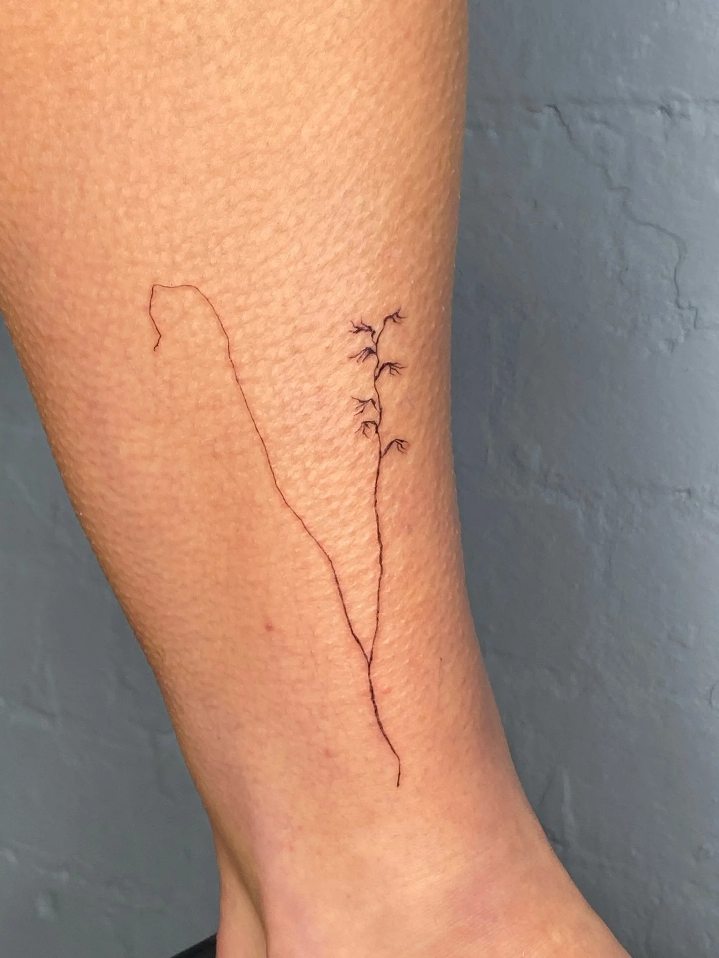 Last tattoo of 2025!