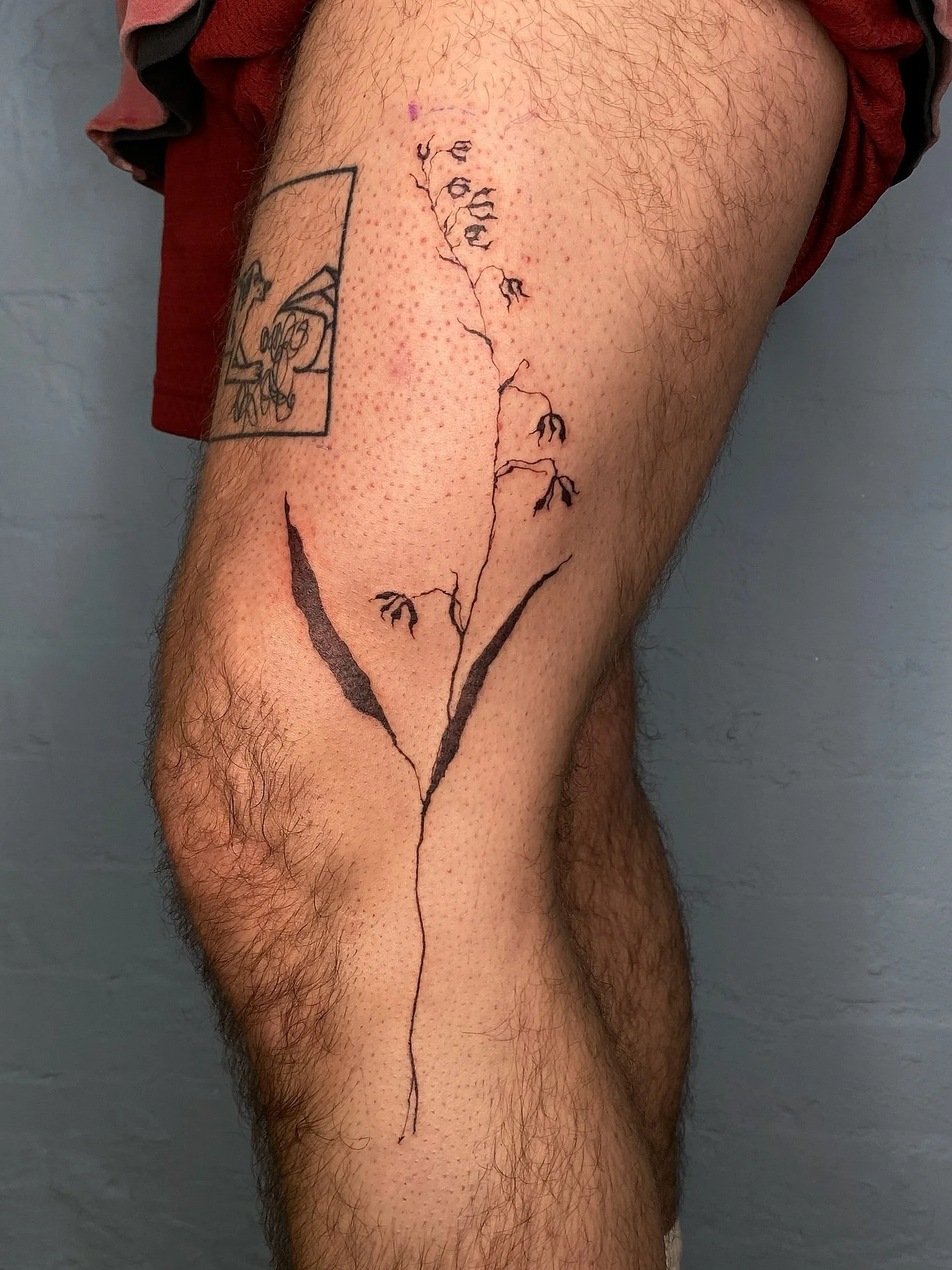 Obsessed with this, thank you so much Jacob ❤️