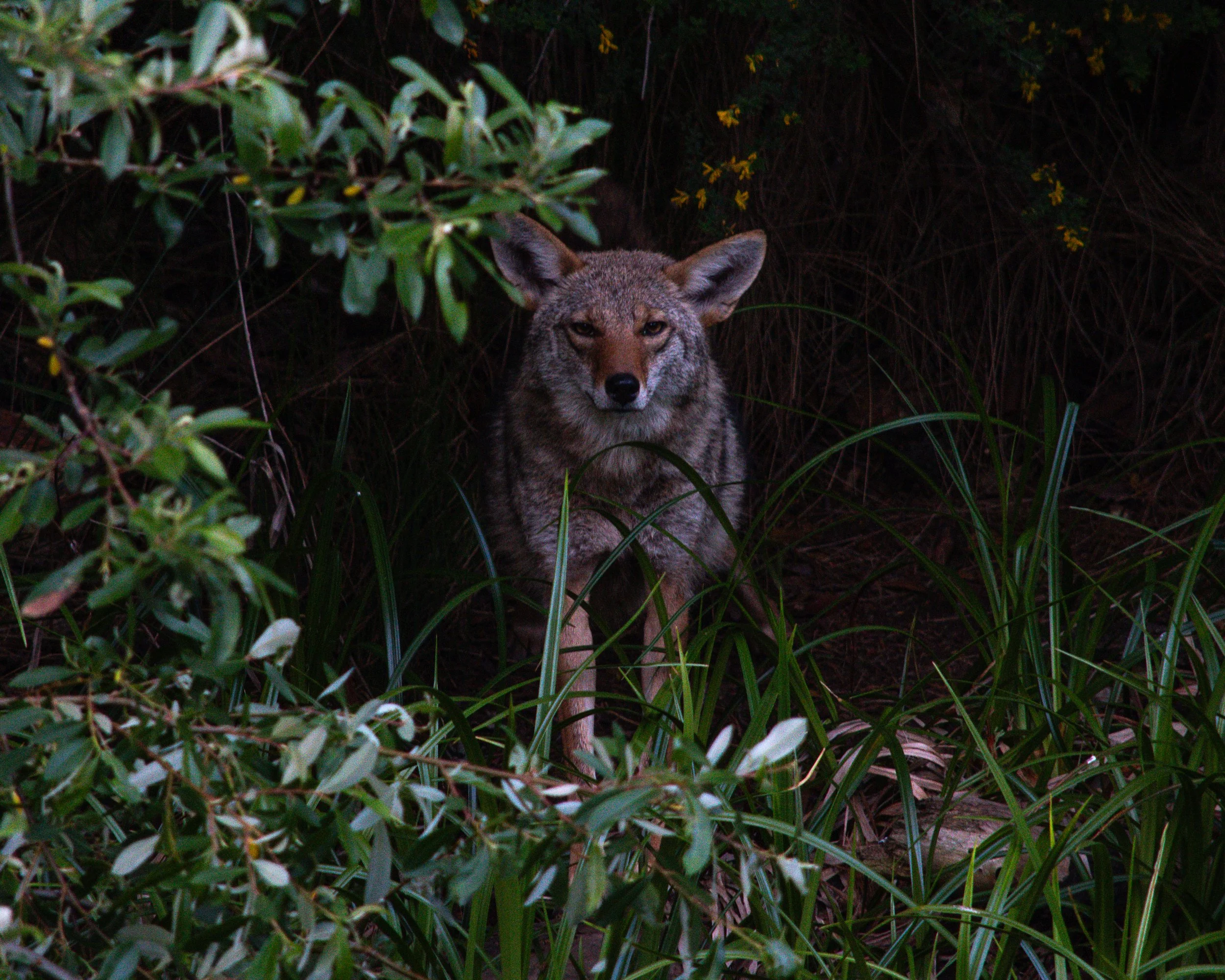 DSC_0777.jpg