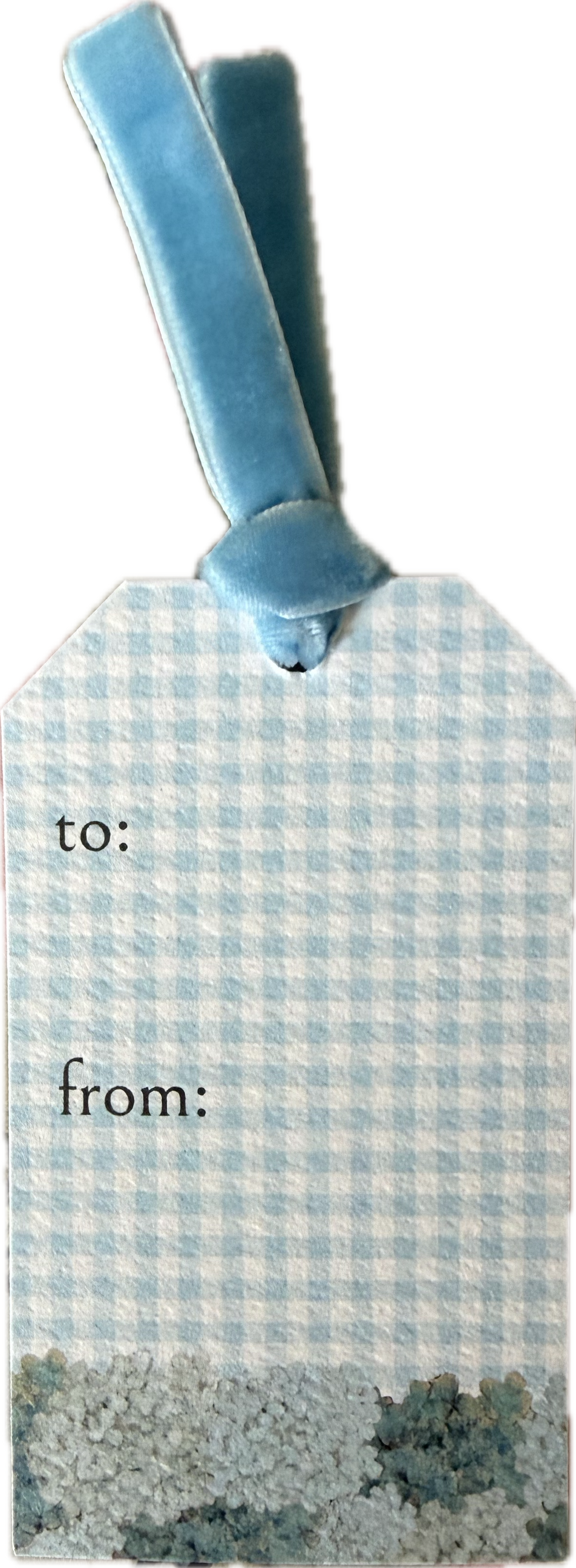 IMG_0913.png