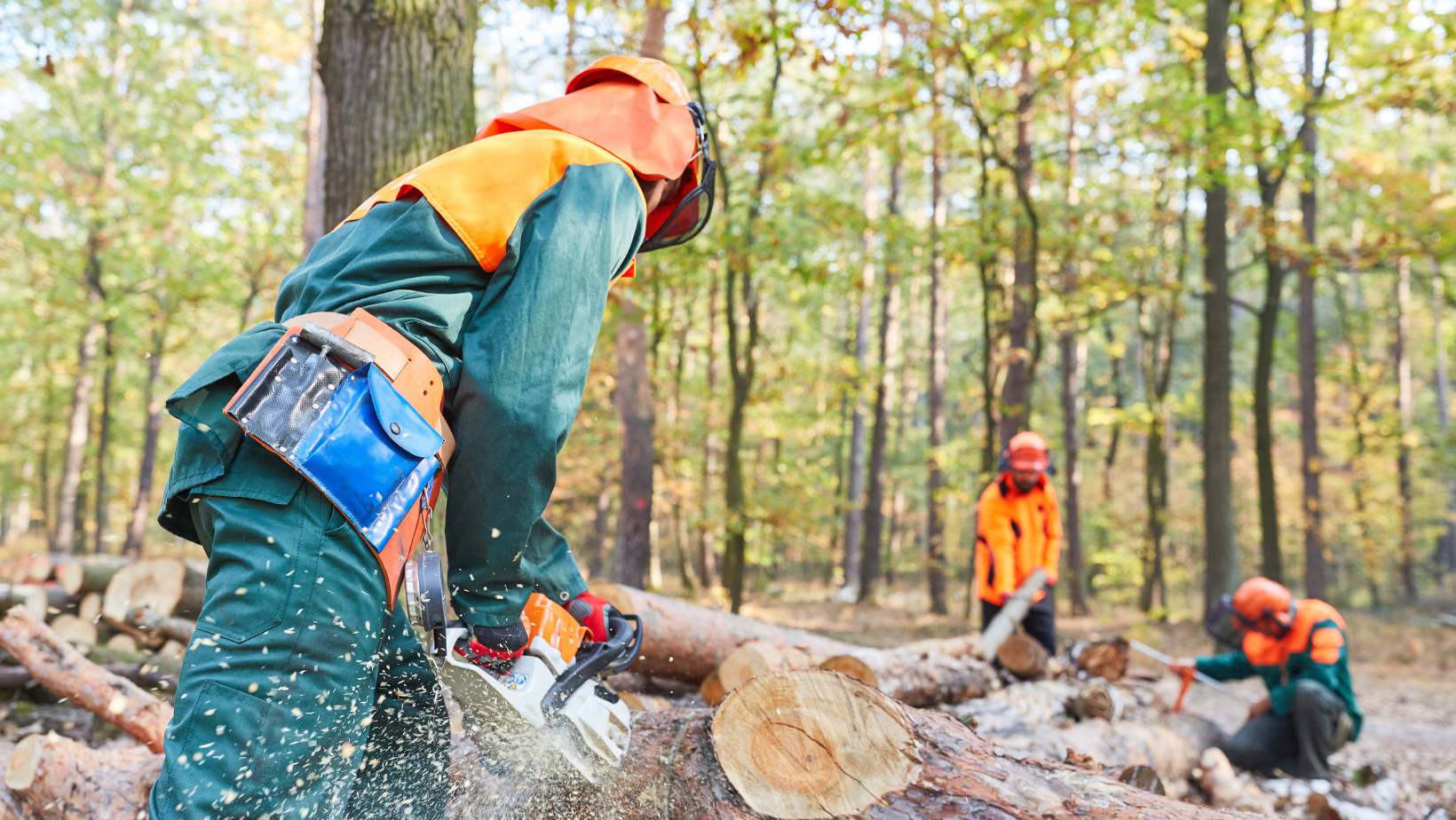 DMCI - Logging.png