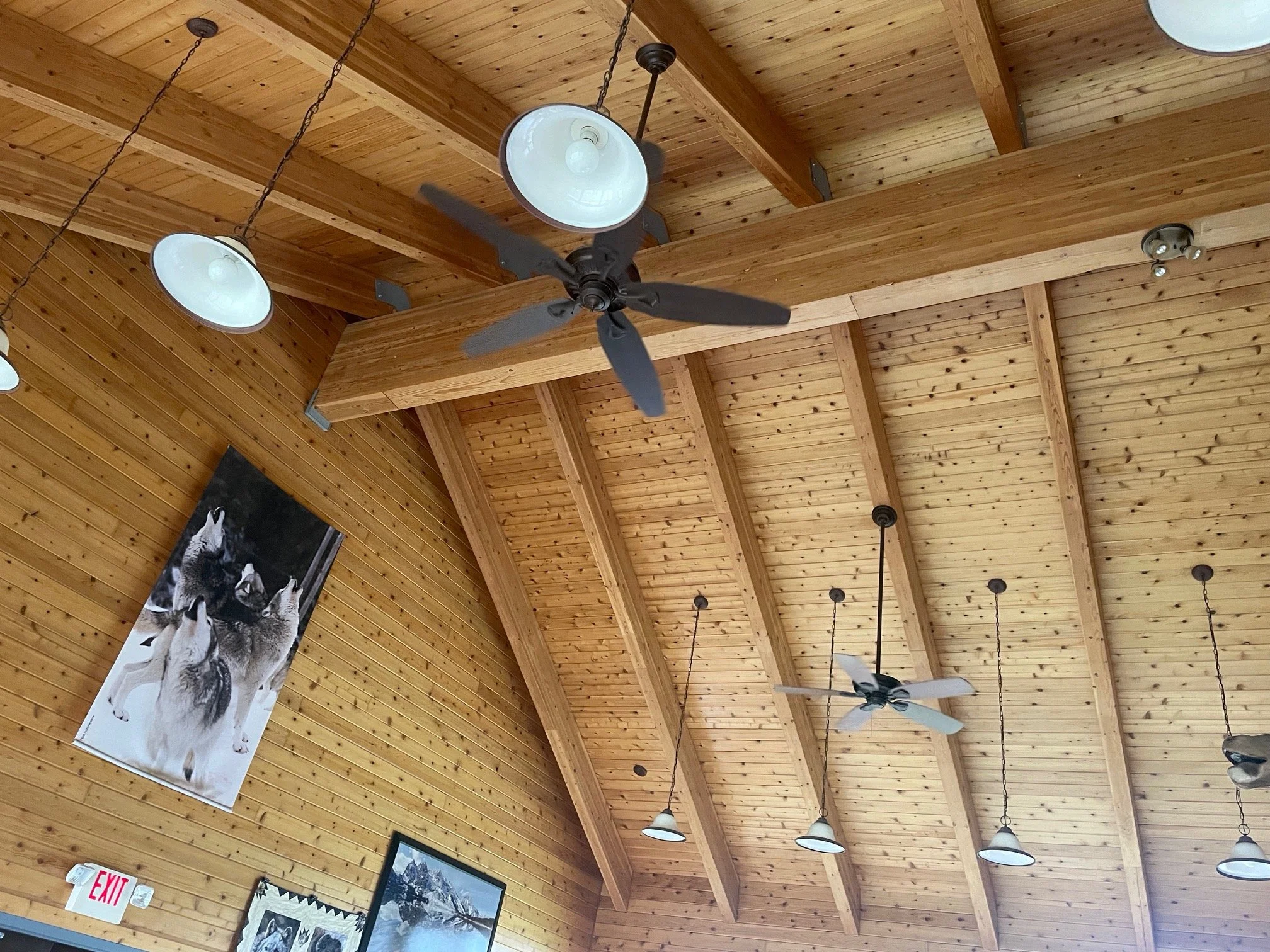 DMCI - wood ceiling2.jpg
