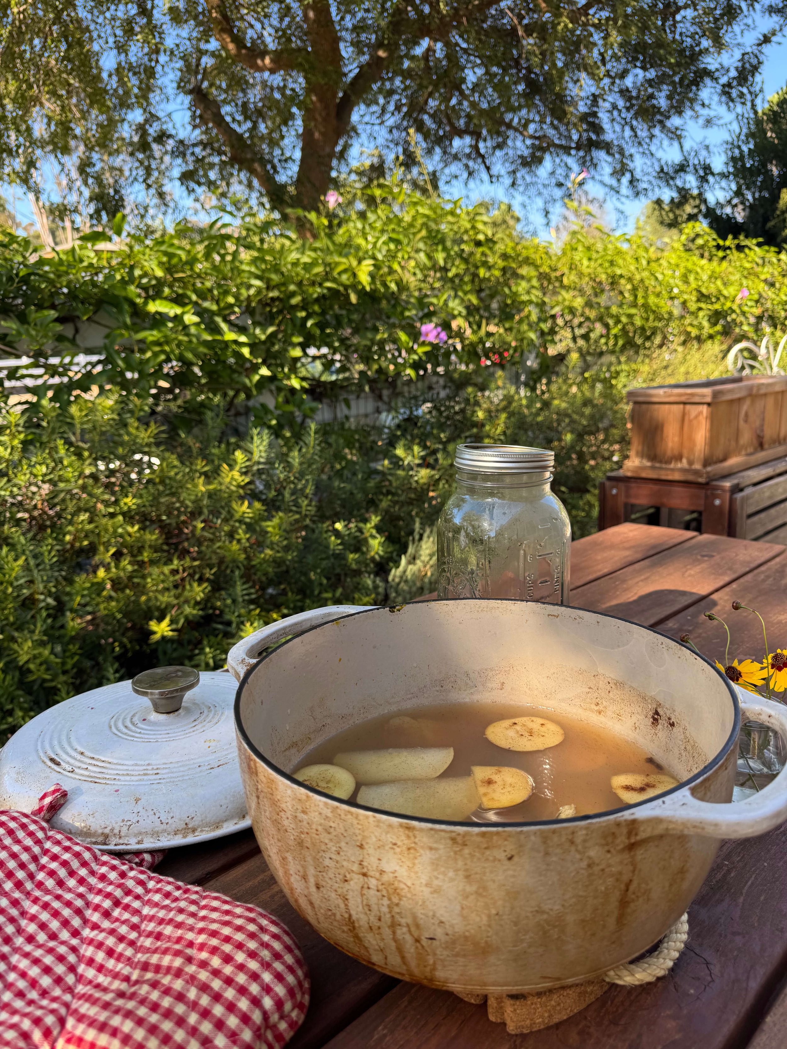 tea in glass jar and teacup on counter herbal tea apple cider cast iron dutch oven outside