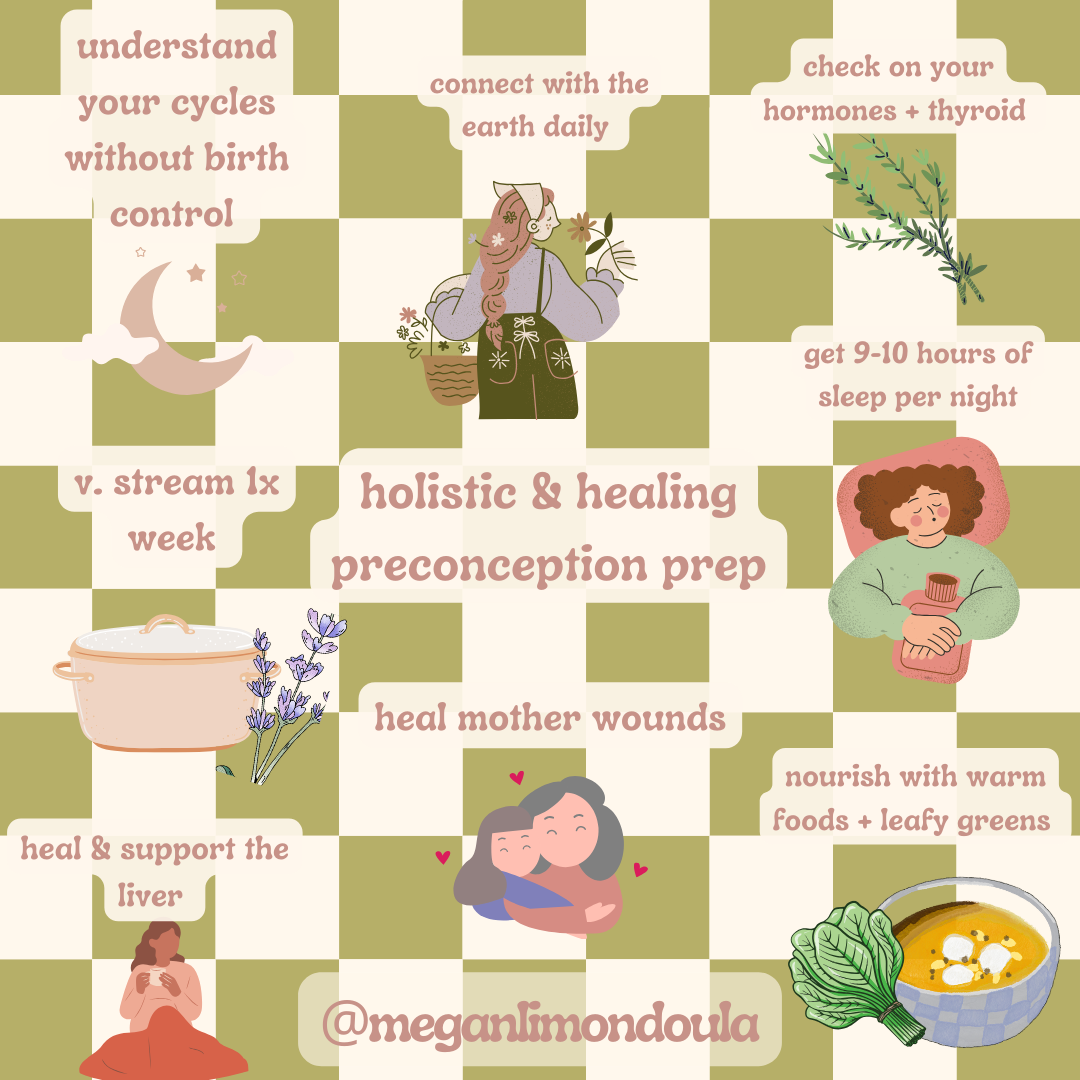 A Healing Preparation Guide to Preconception