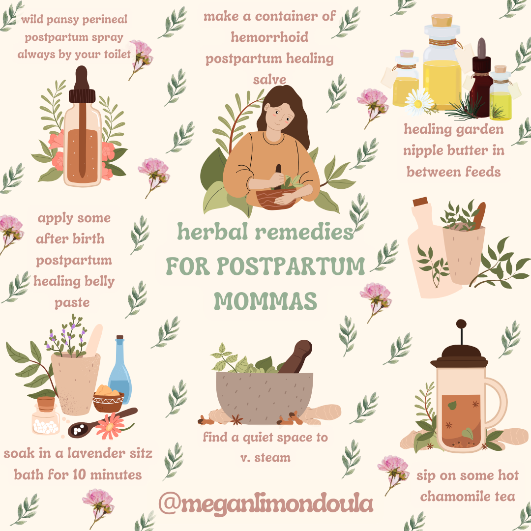 Herbal Remedies for Postpartum Mommas