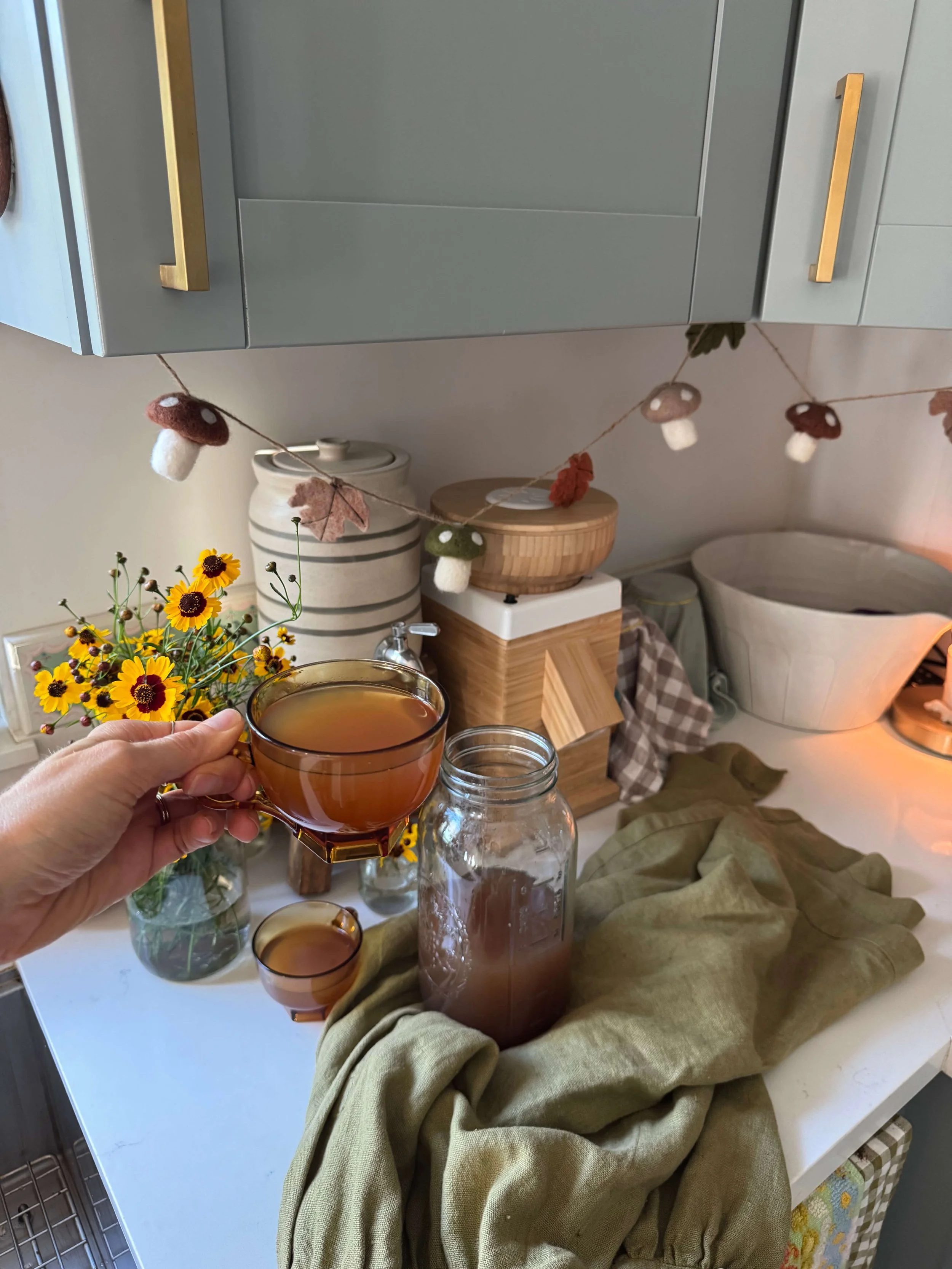 Womb Warming Tea Cider | Herbal Postpartum Tea Recipe