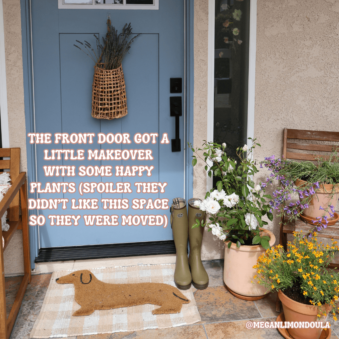 front door with gardening boots flowers