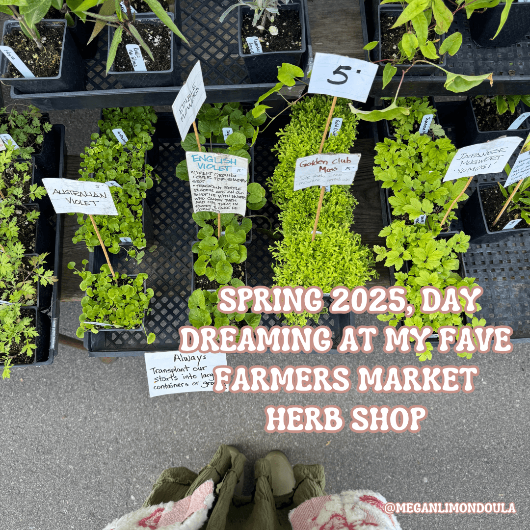 farmers market nursery plants