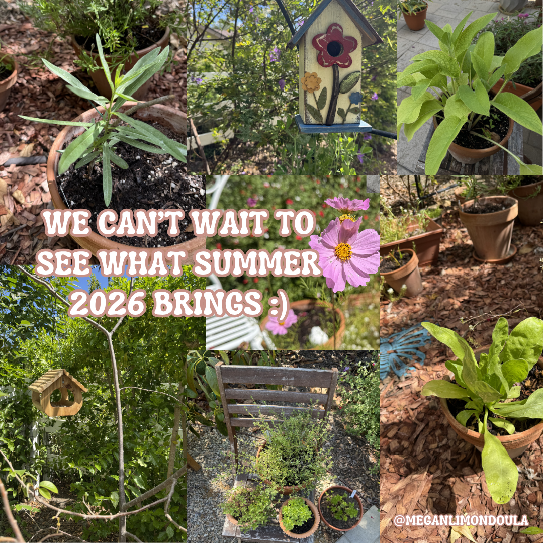 photo collage of photos of garden plants bird houses