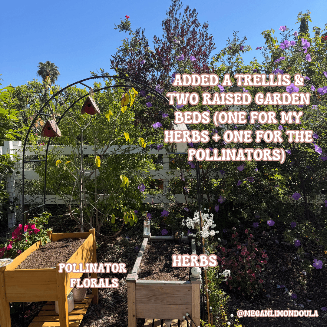 raised garden bed in garden two trellis