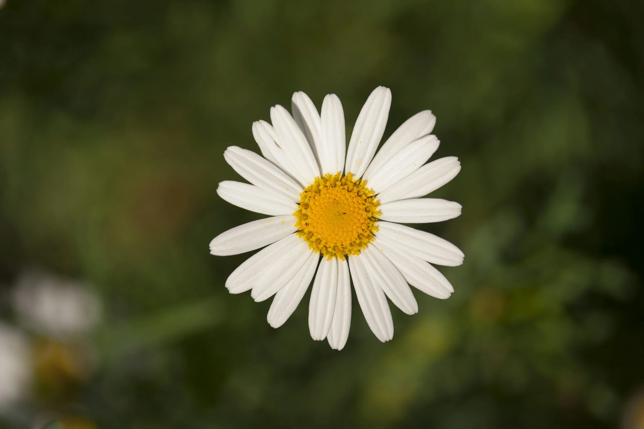 unsplash-image-KhWOQ90JgJA.jpg