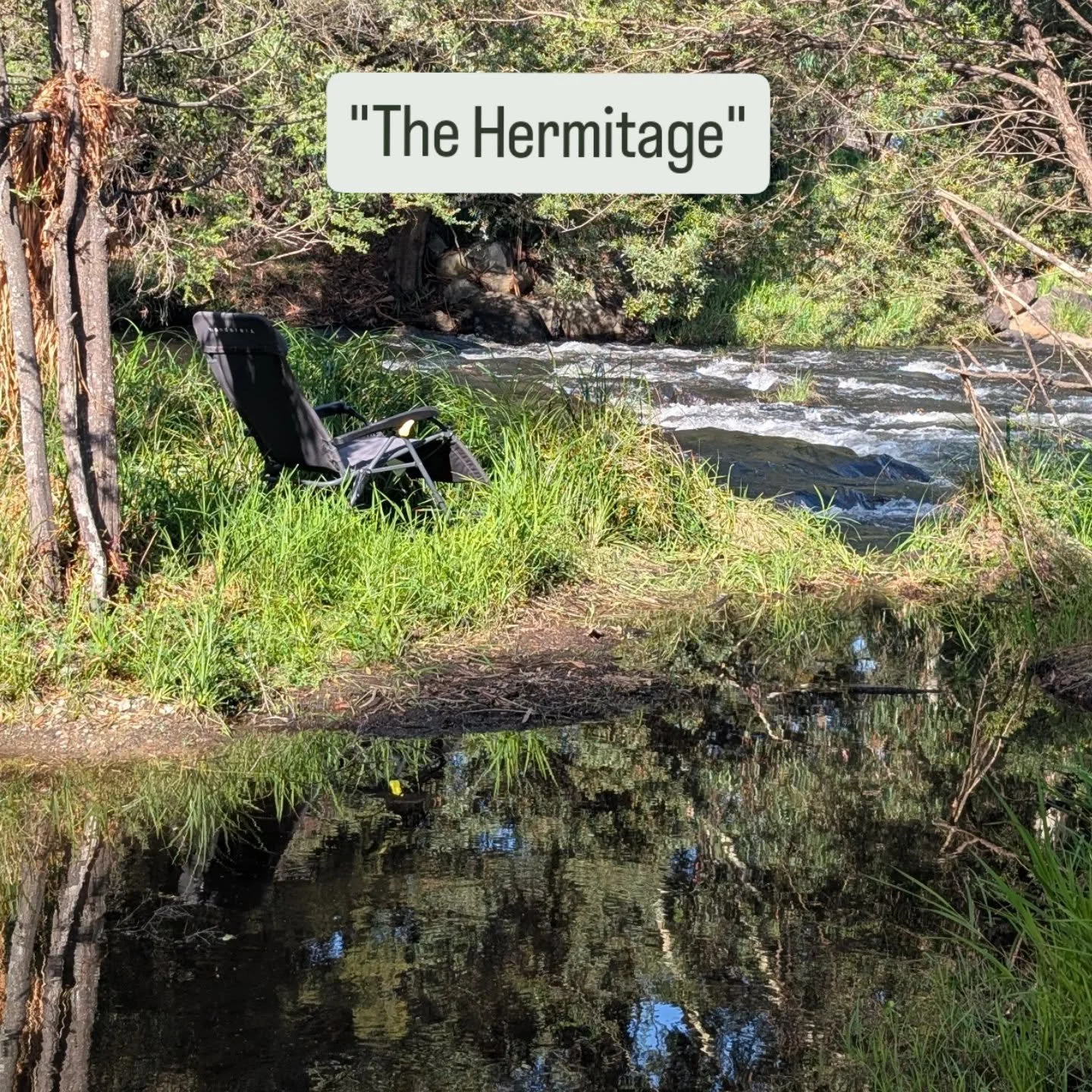 Birrarung time - a weekend reflection on our last visit after an eventful summer. Refreshing and restorative as always 🌿

#river #nature #relax #timeout