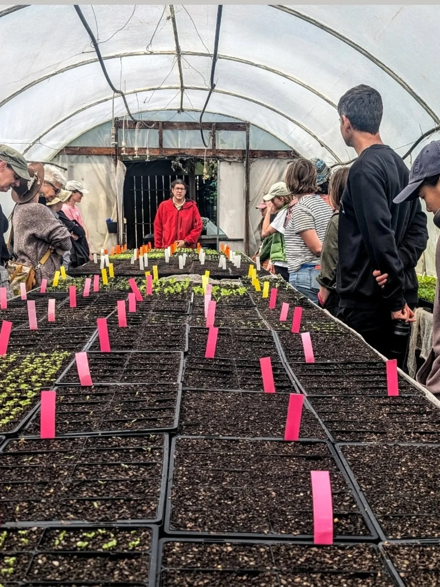 Looking forward to teaching the next @ceresbrunswick WITH (working in therapeutic horticulture course). Next intake starts 4 Feb a few spots remain. This is a fantastic course for those interested in working with people &amp; plants for wellbeing. Ex