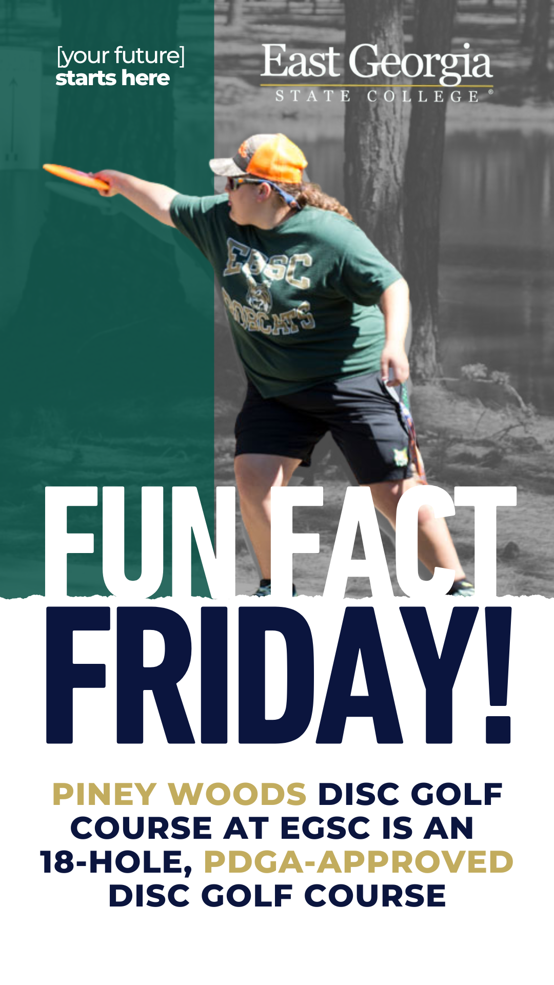 fund fact friday.png